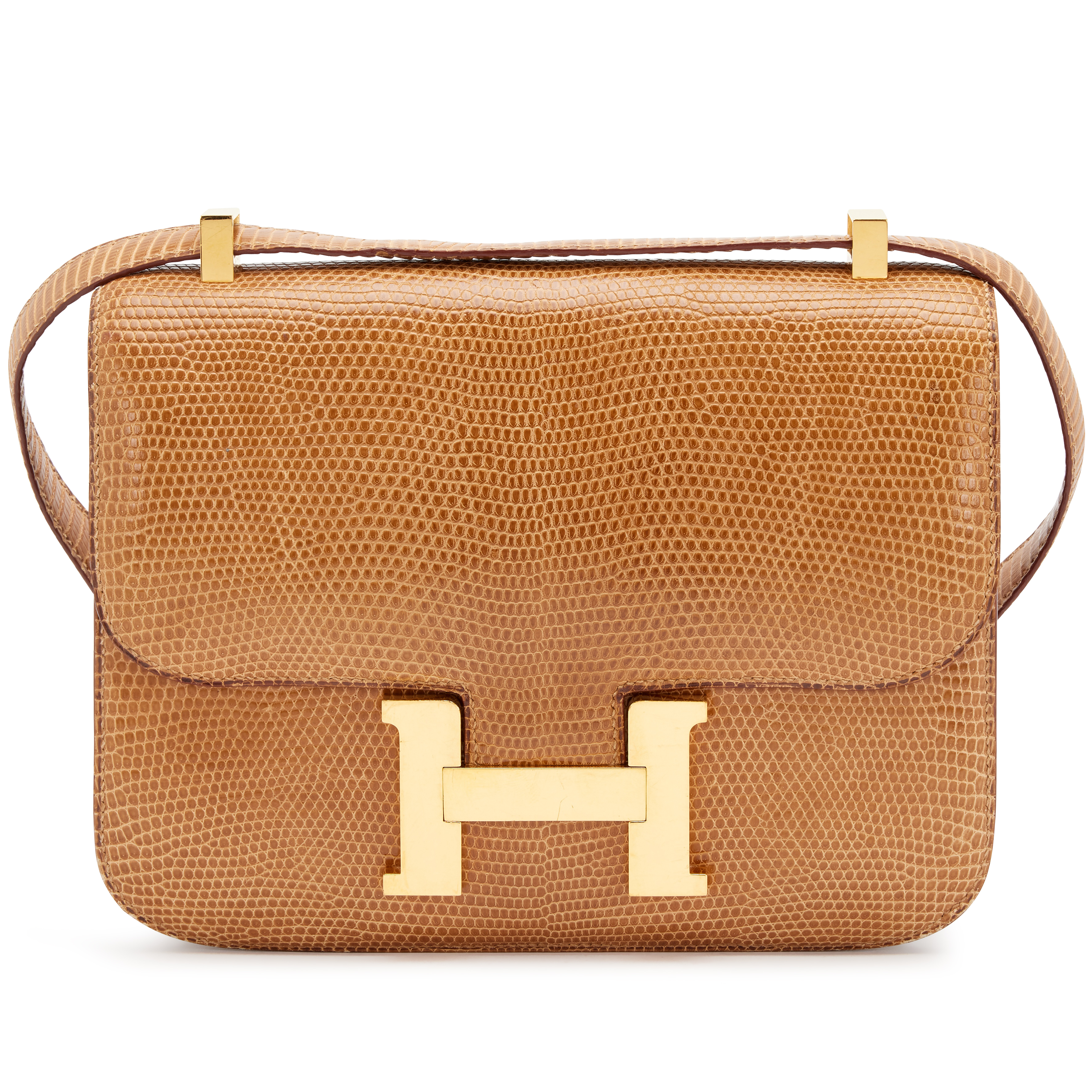 Hermès Vintage Sesame Shiny Varanus Niloticus Lizard Constance 23