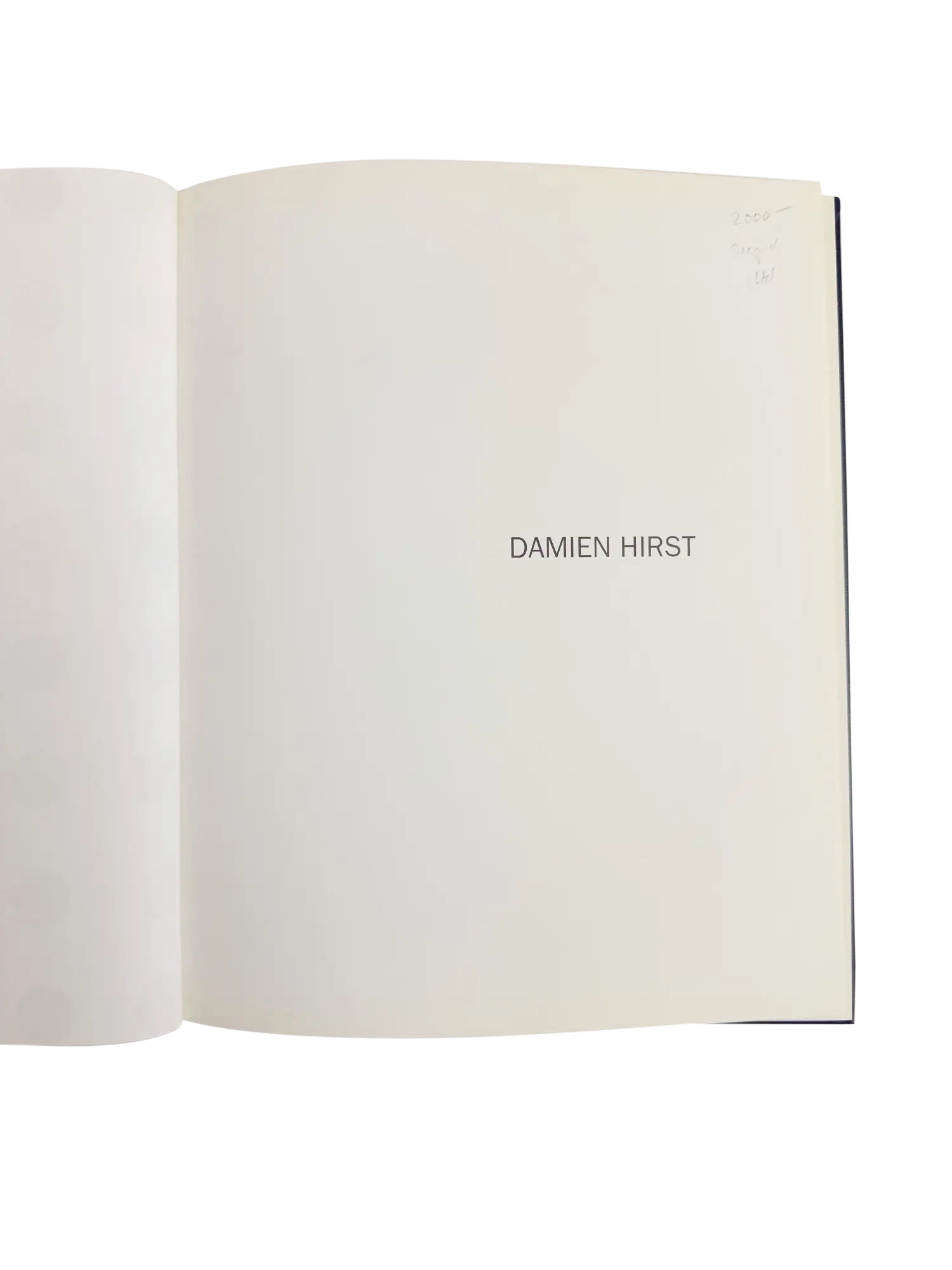 Damienhirst ダミアンハースト 大型本First Edition版 DAMIEN HIRST ダミアン・ハースト 洋書 写真集 作品集 初版