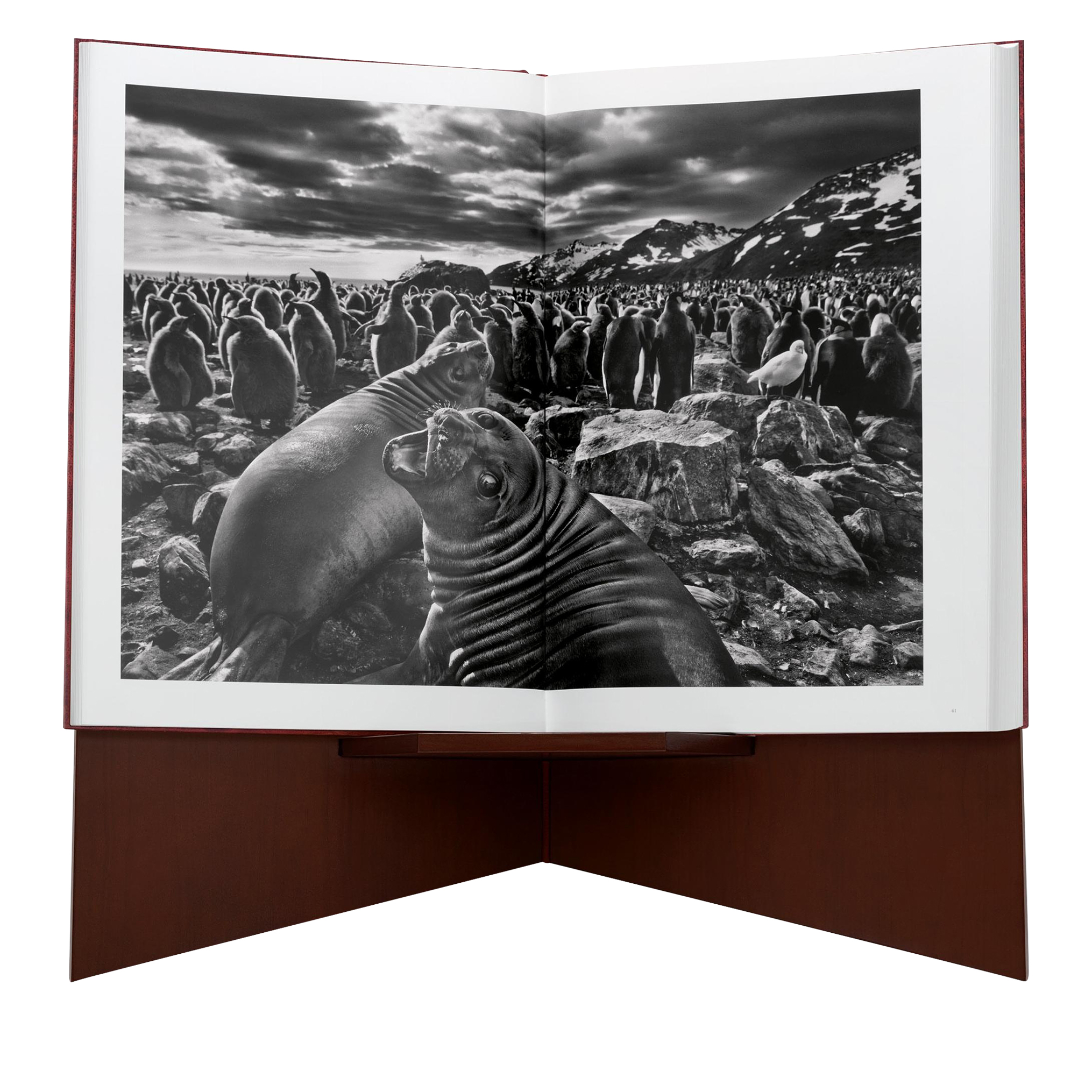 Sebastião Salgado, TASCHEN Genesis | Art Edition No. 1–100, With