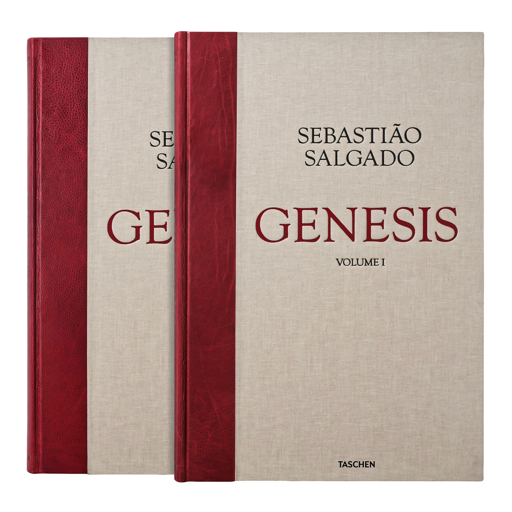 sebastiaosalgado-genesis.png