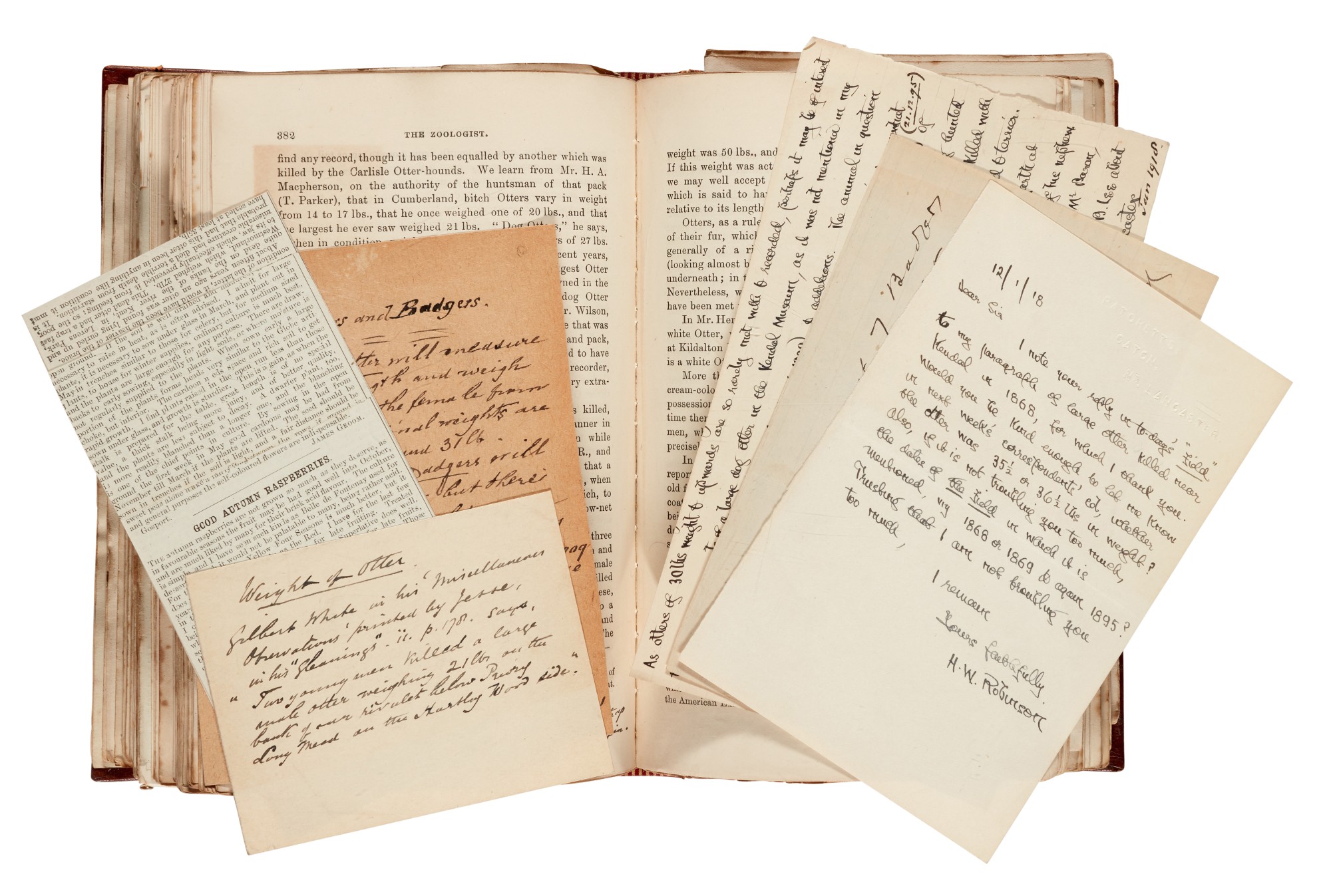 James Edmund Harting 