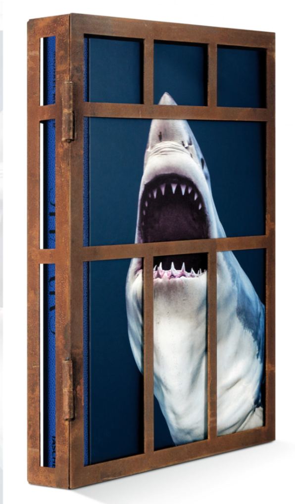 sharks-art-edition-michael-