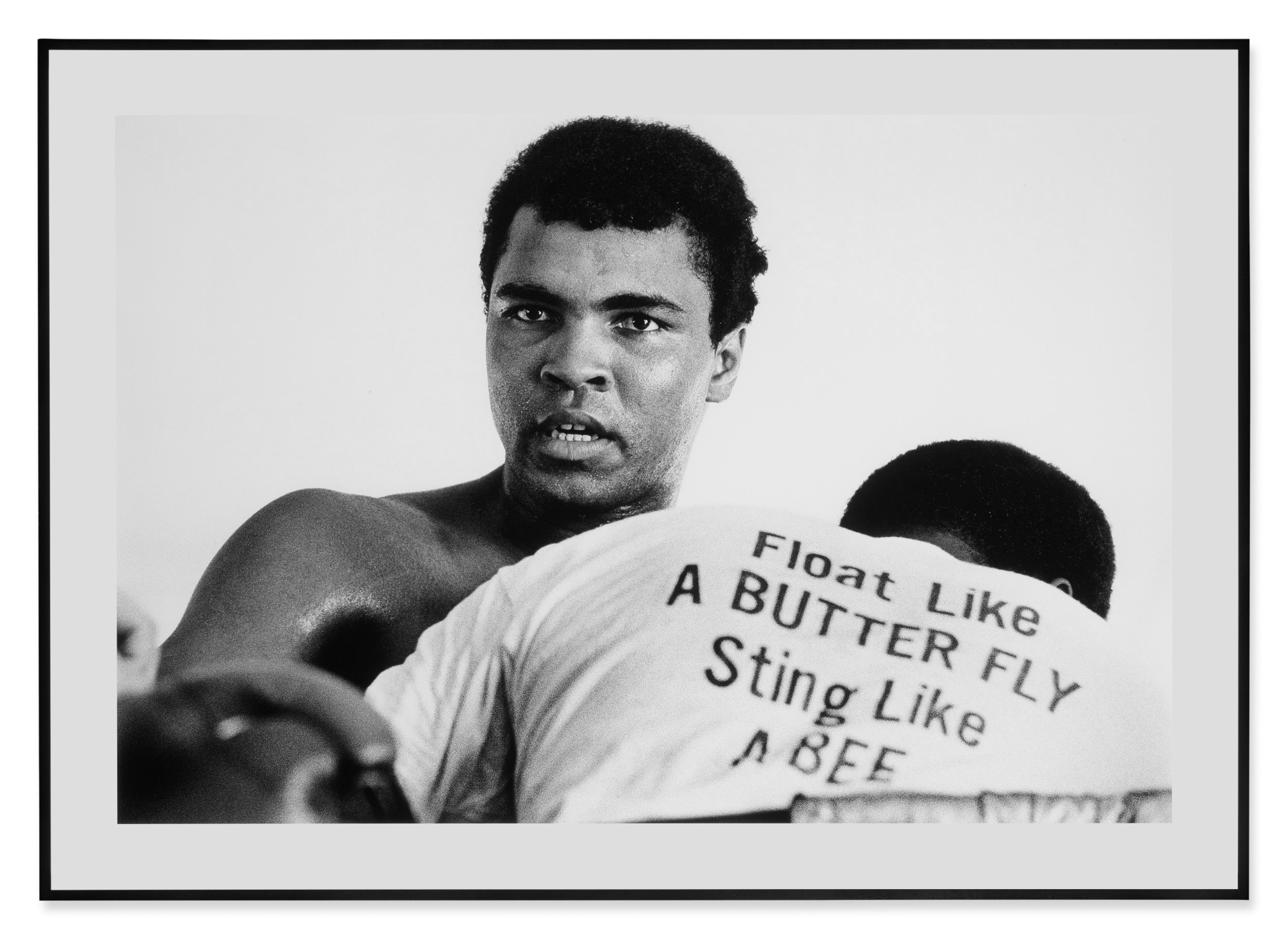 'Float Like A Butterfly, Miami' Contemporary Photographs 2021