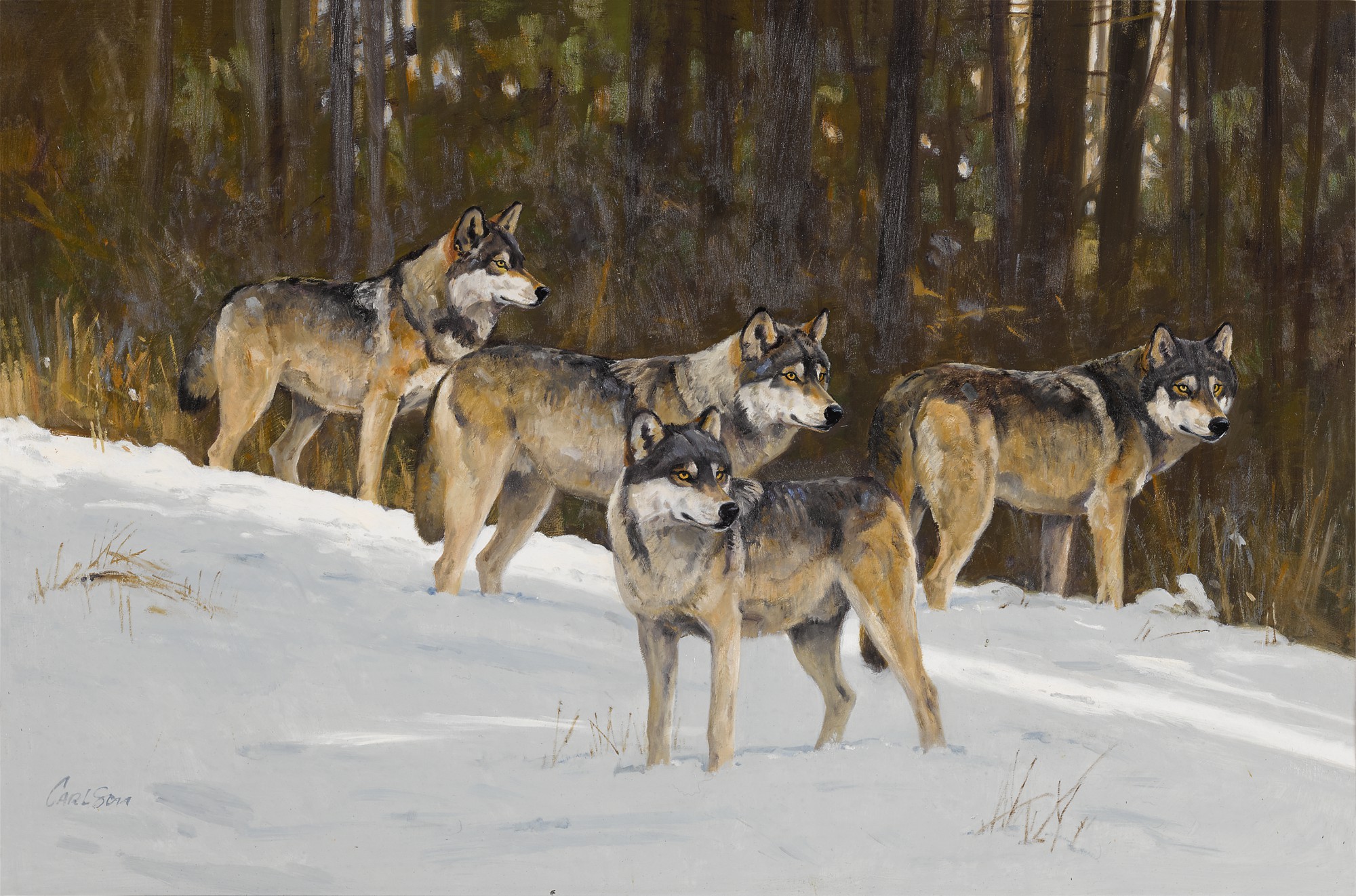 Four Wolves in the Snow | Majestic America: Property from an Important ...