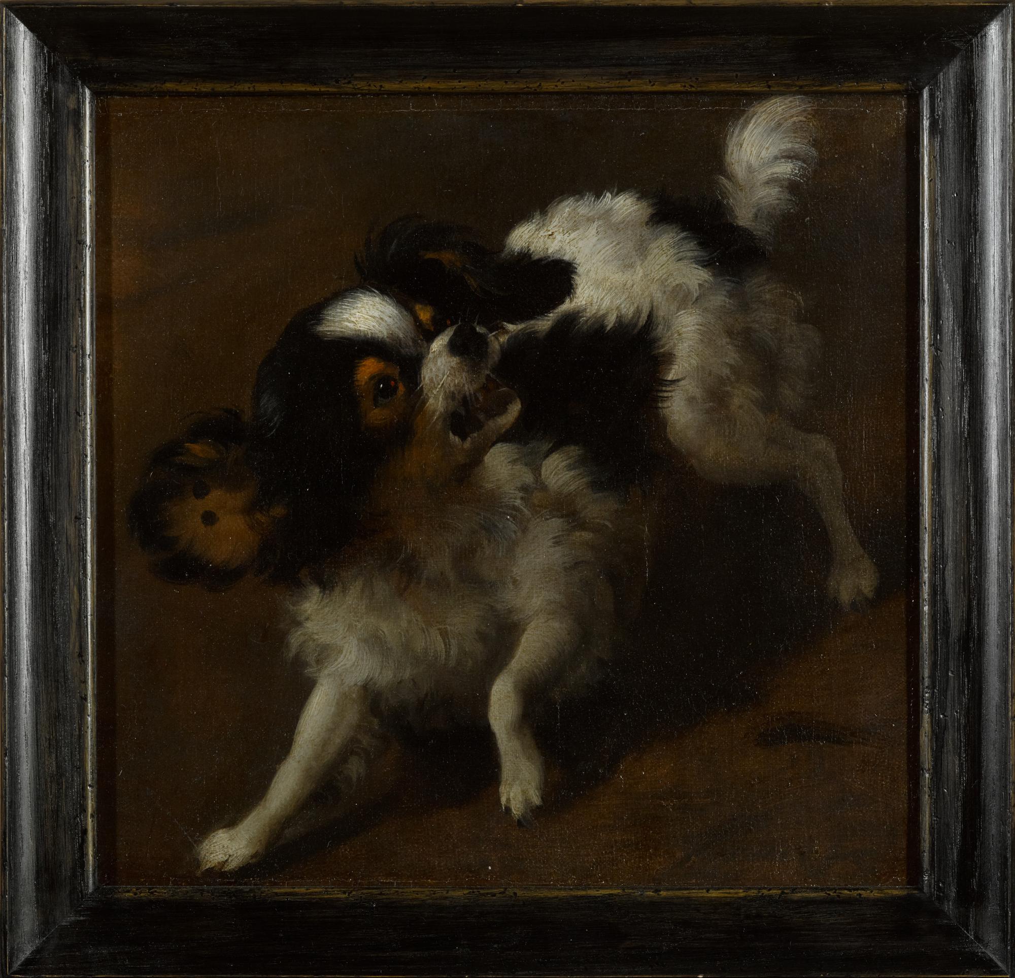 DUTCH SCHOOL, 17TH CENTURY | A yapping King Charles spaniel | The ...
