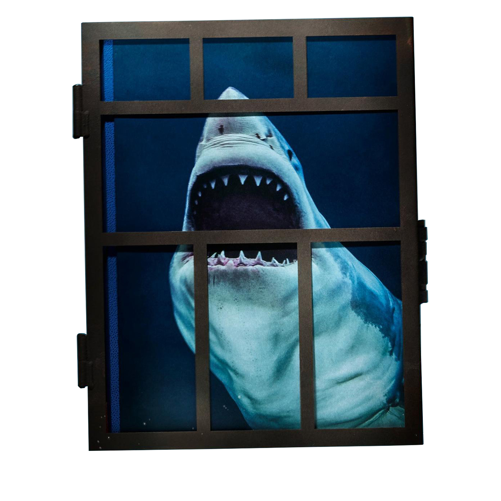 Michael Muller Sharks Collector's Edition Signed Available For
