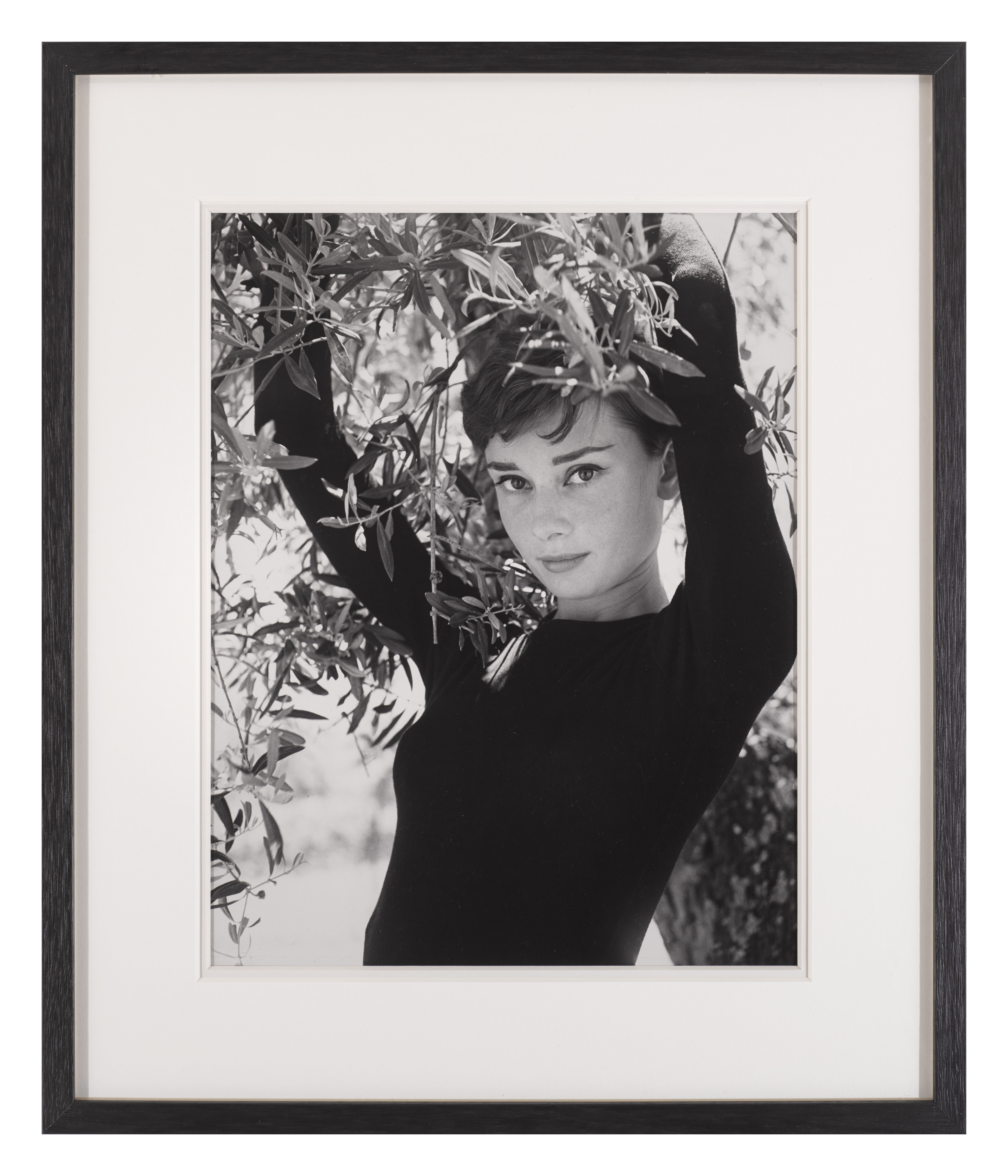 Pack Of 25 - Audrey Hepburn Limited Edition Collectible Million Dollar Bill