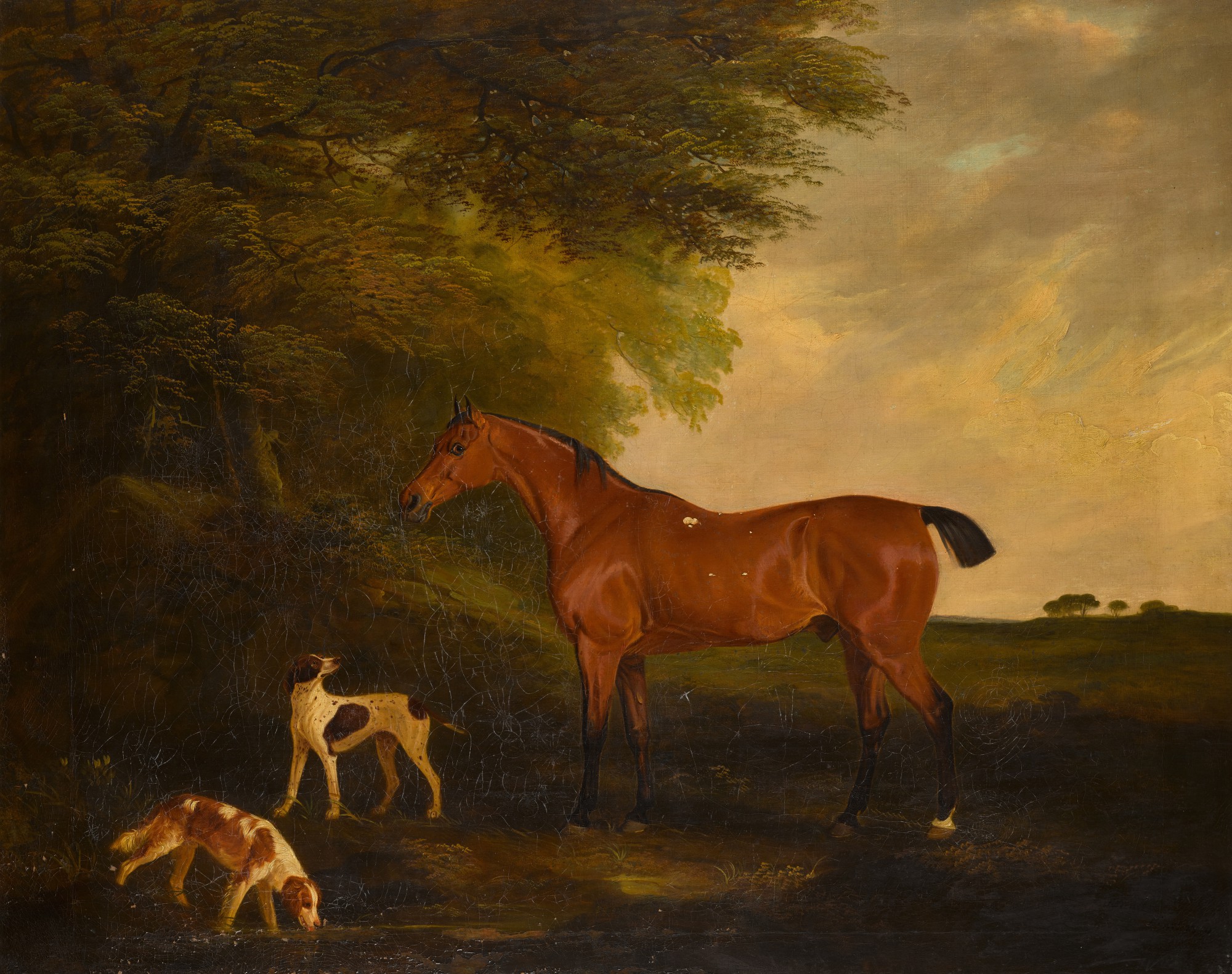 Colonel Andrew Nugent's hunter, with a pointer and setter in a wooded