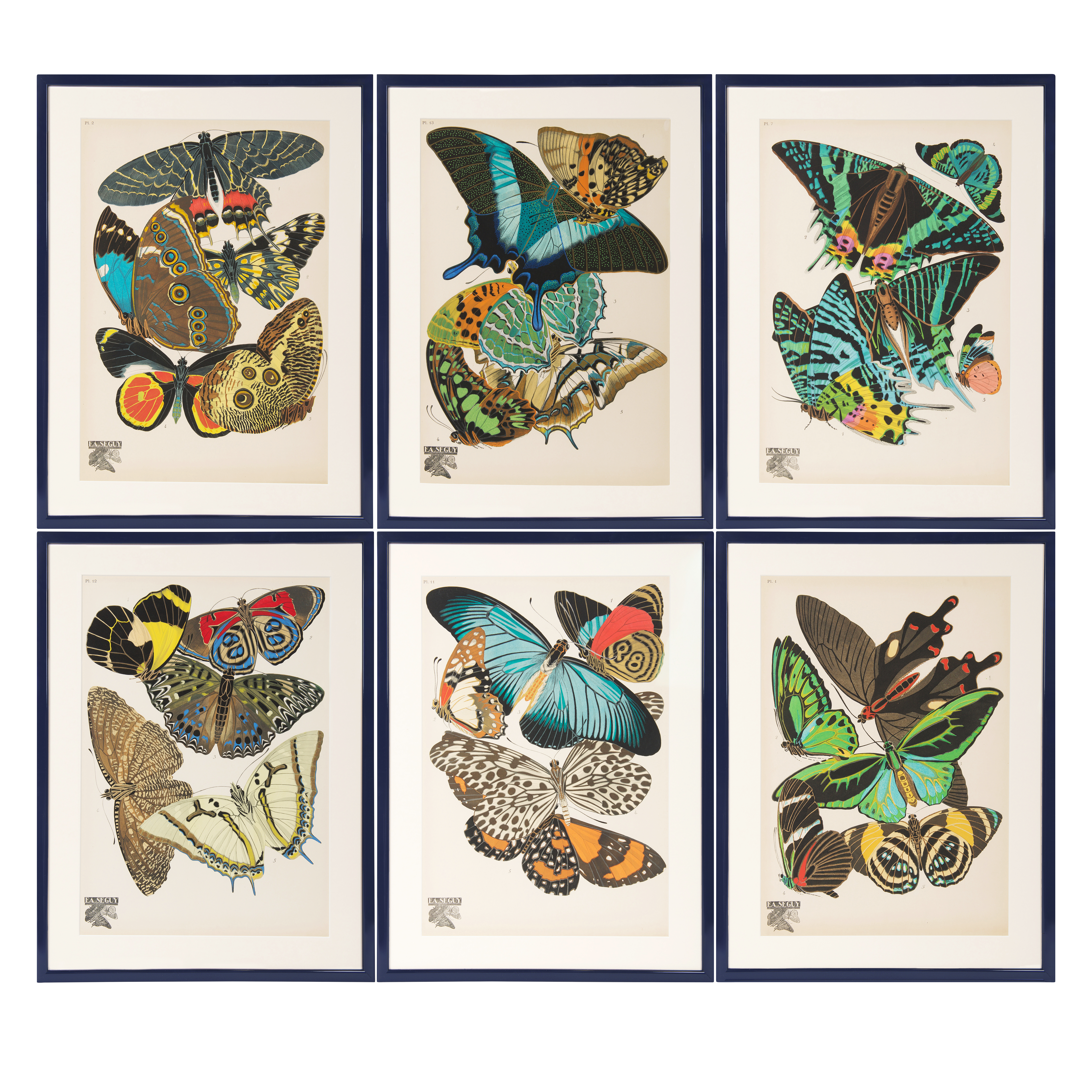Eugéne Séguy Vintage Papillons, Pochoir Plates Of