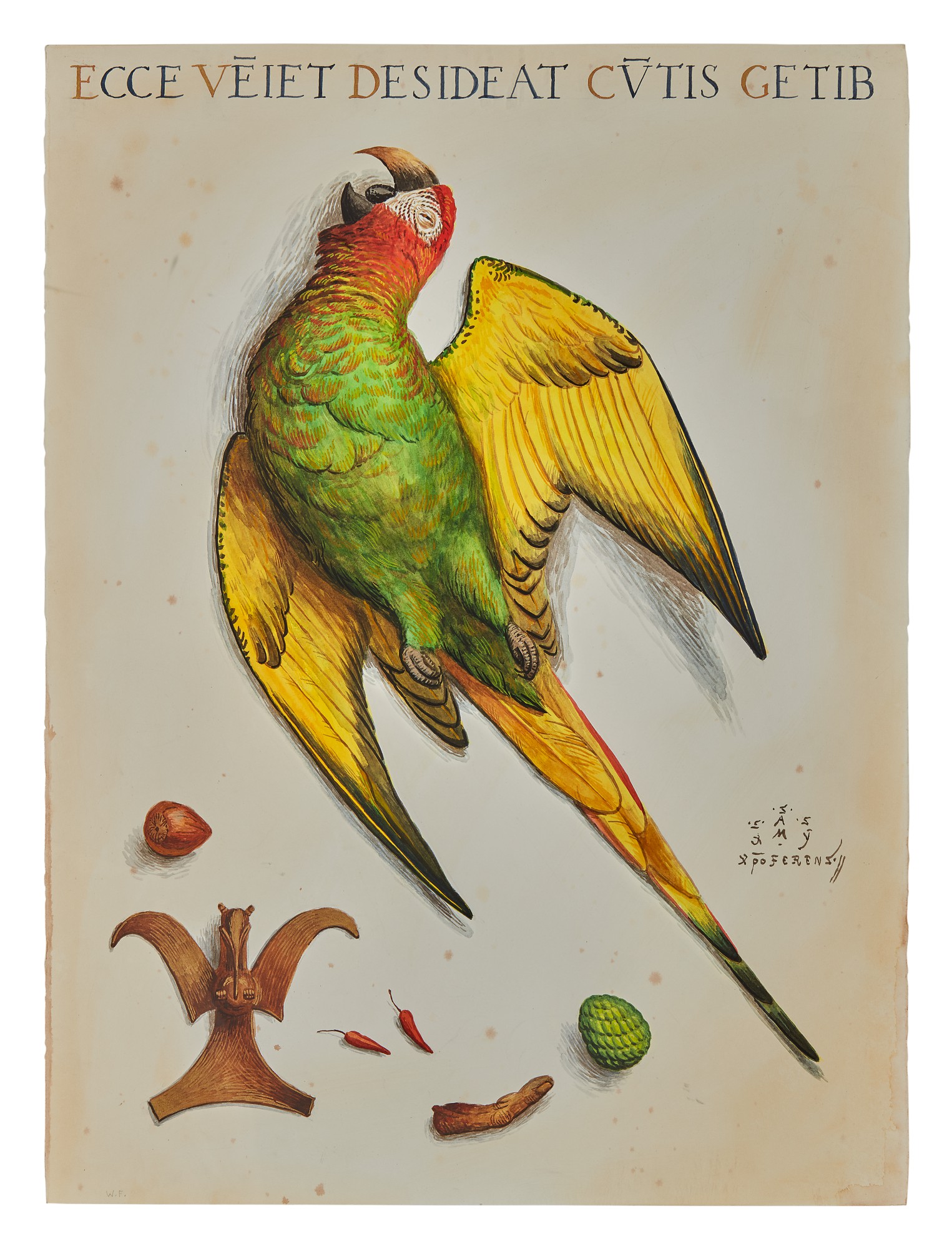 columbiana-green-and-yellow-macaw-contemporary-curated-2021