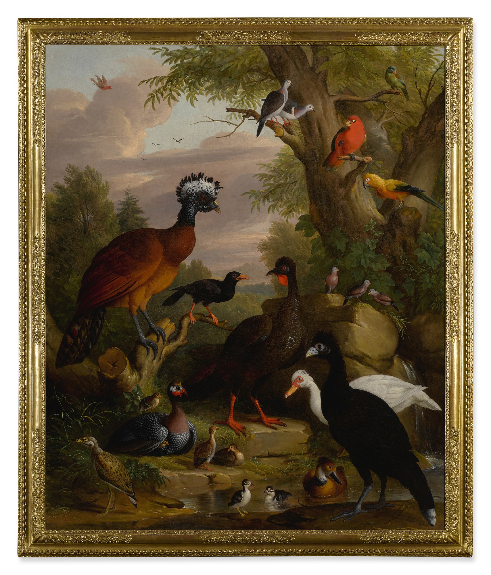 An assembly of birds in a parkland landscape, including a blue peacock ...
