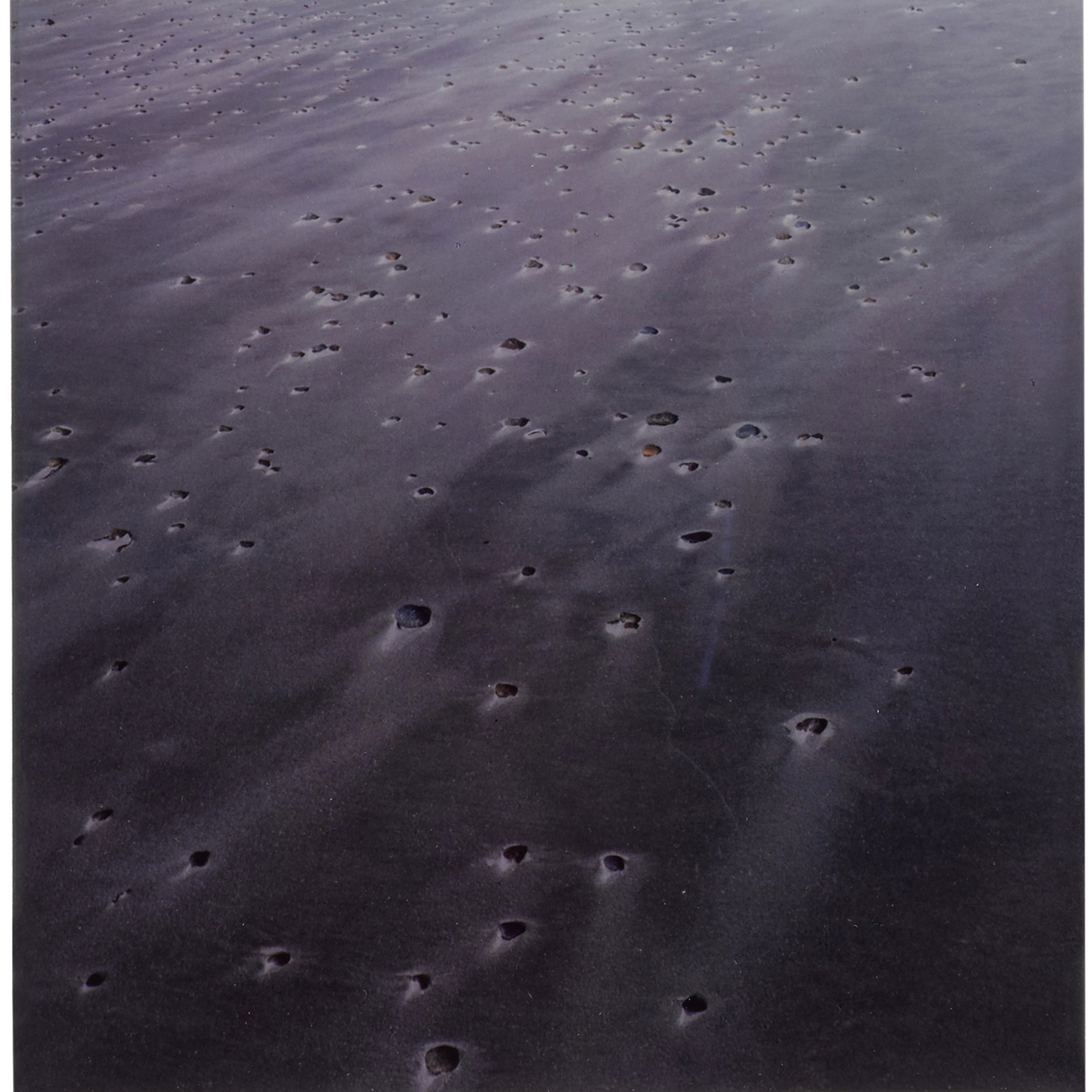 Harry Callahan Beach And Shells, Horseneck Beach, Massachusetts