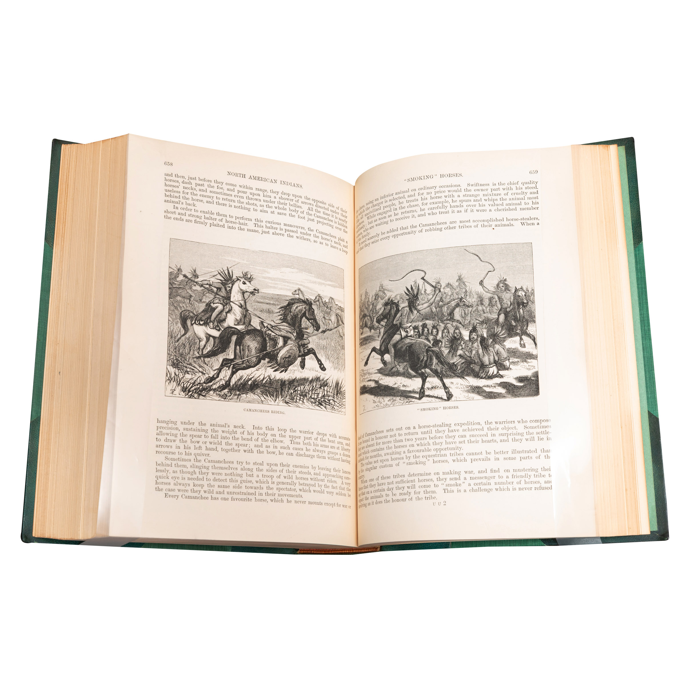 J.G. Wood Antique The Illustrated Natural History Available For