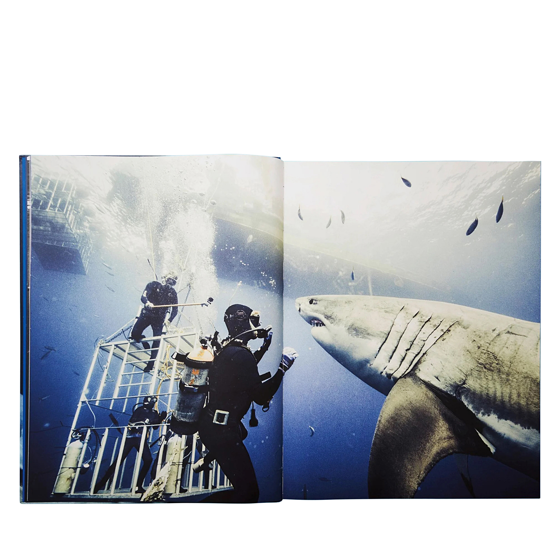 TASCHEN, Michael Muller Sharks Signed Available For