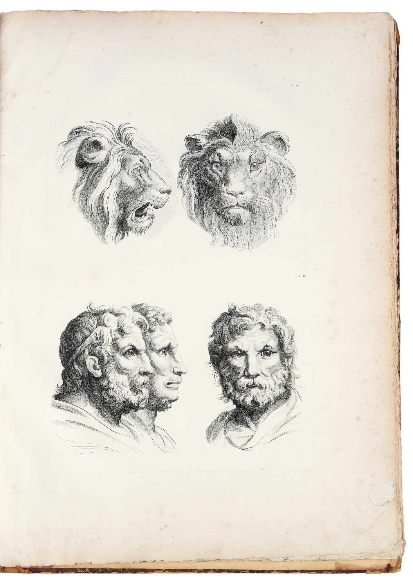 Le Brun, Charles — [LouisMarieJoseph Morel d'Arleux] Human