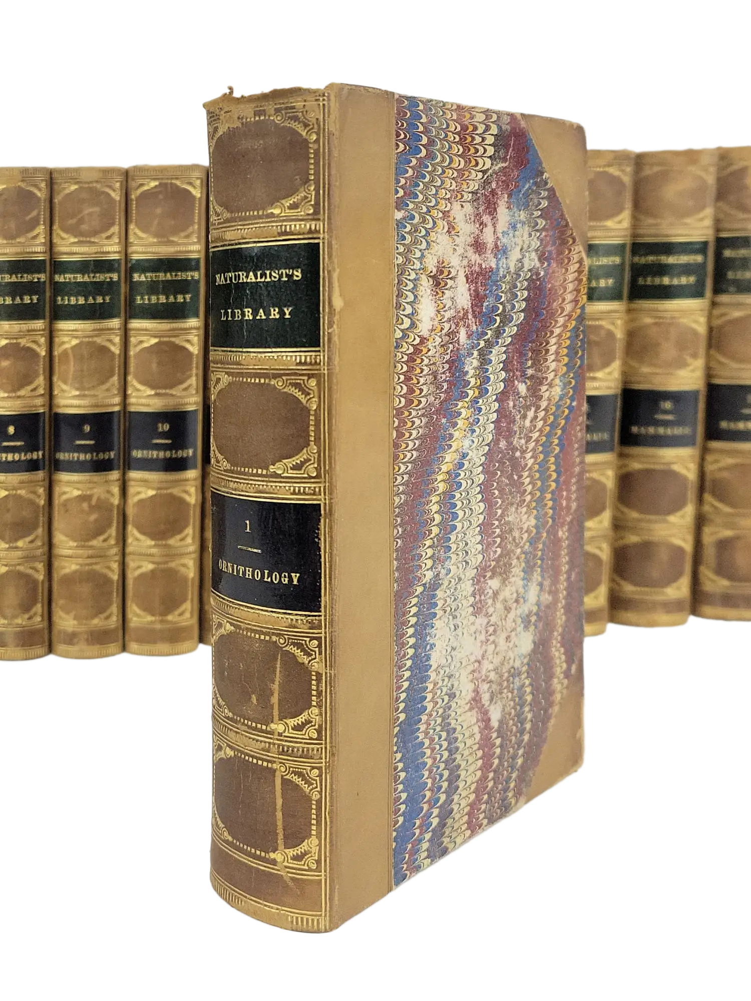 Sir William Jardine Vintage The Naturalist's Library Available For