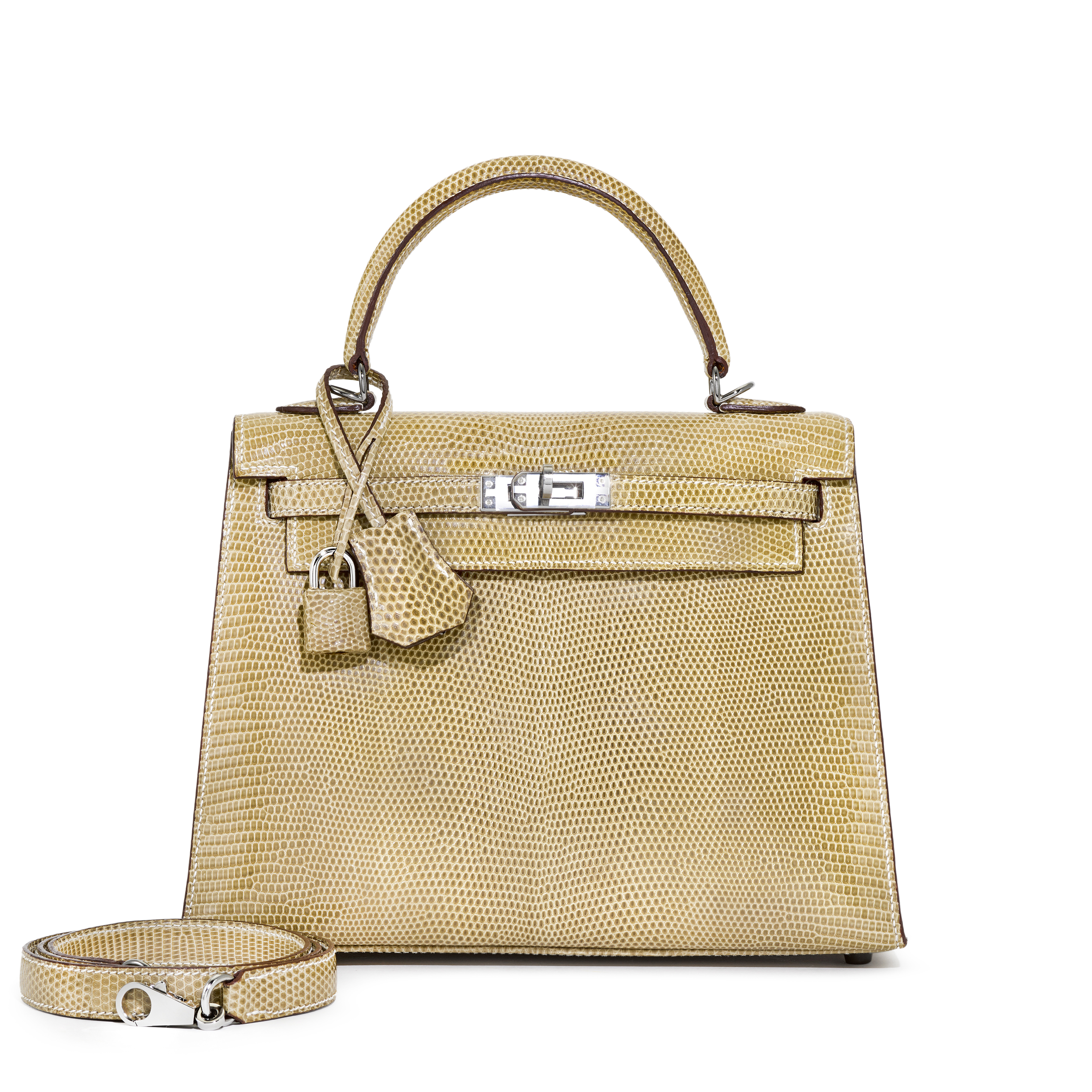 Hermès Gris Ficelle Varanus Niloticus Lizard Kelly 25 Sellier