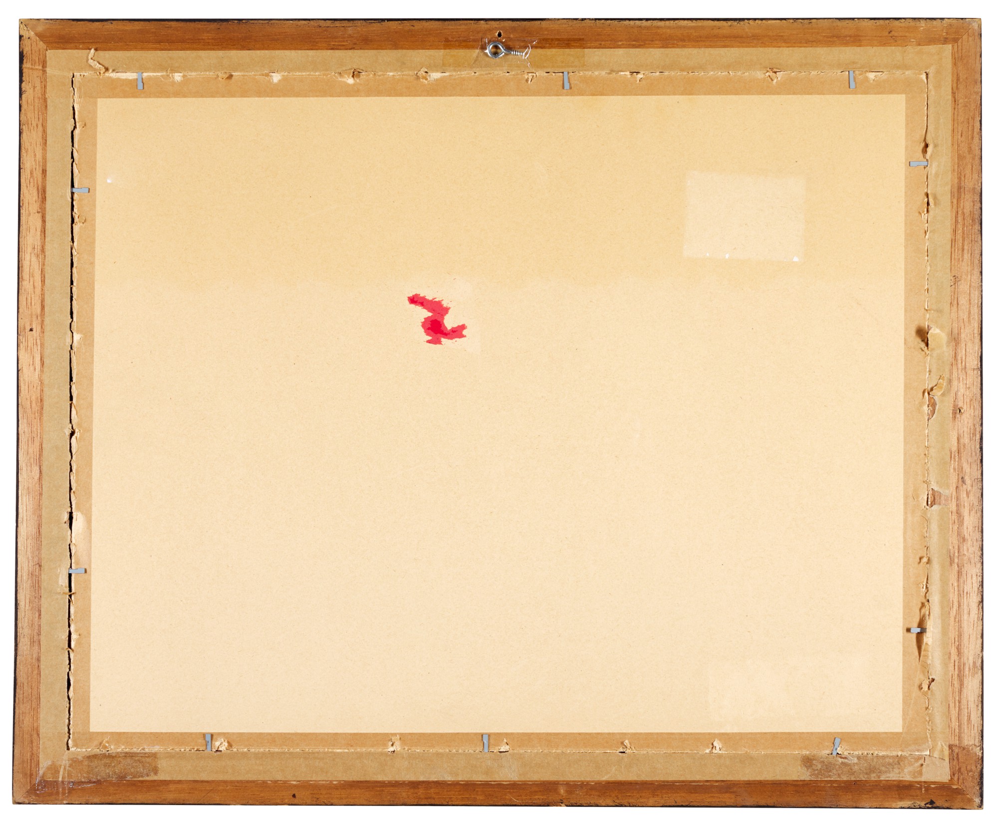 Study of seven insects | Master Works on Paper from Five Centuries ...