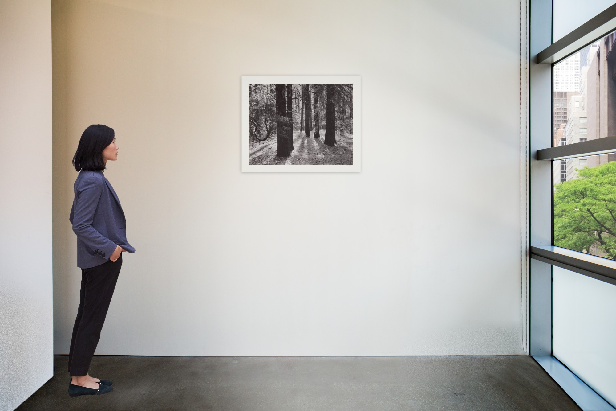 ANSEL ADAMS YOSEMITE AND THE RANGE OF LIGHT Classic Photographs 2020 Sotheby's