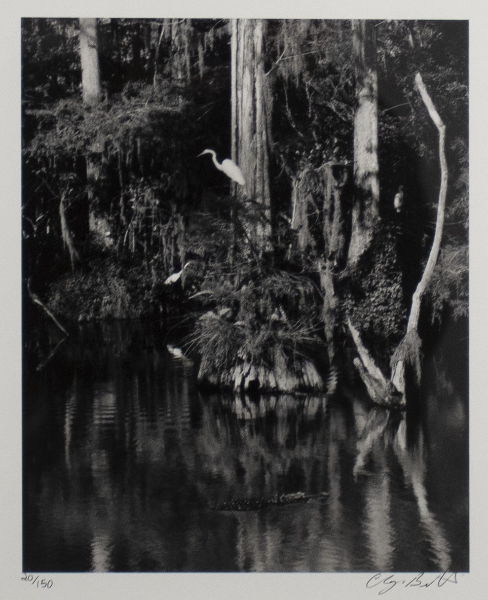 Big Cypress Gallery 14 Museum of Contemporary Photography DARKROOM