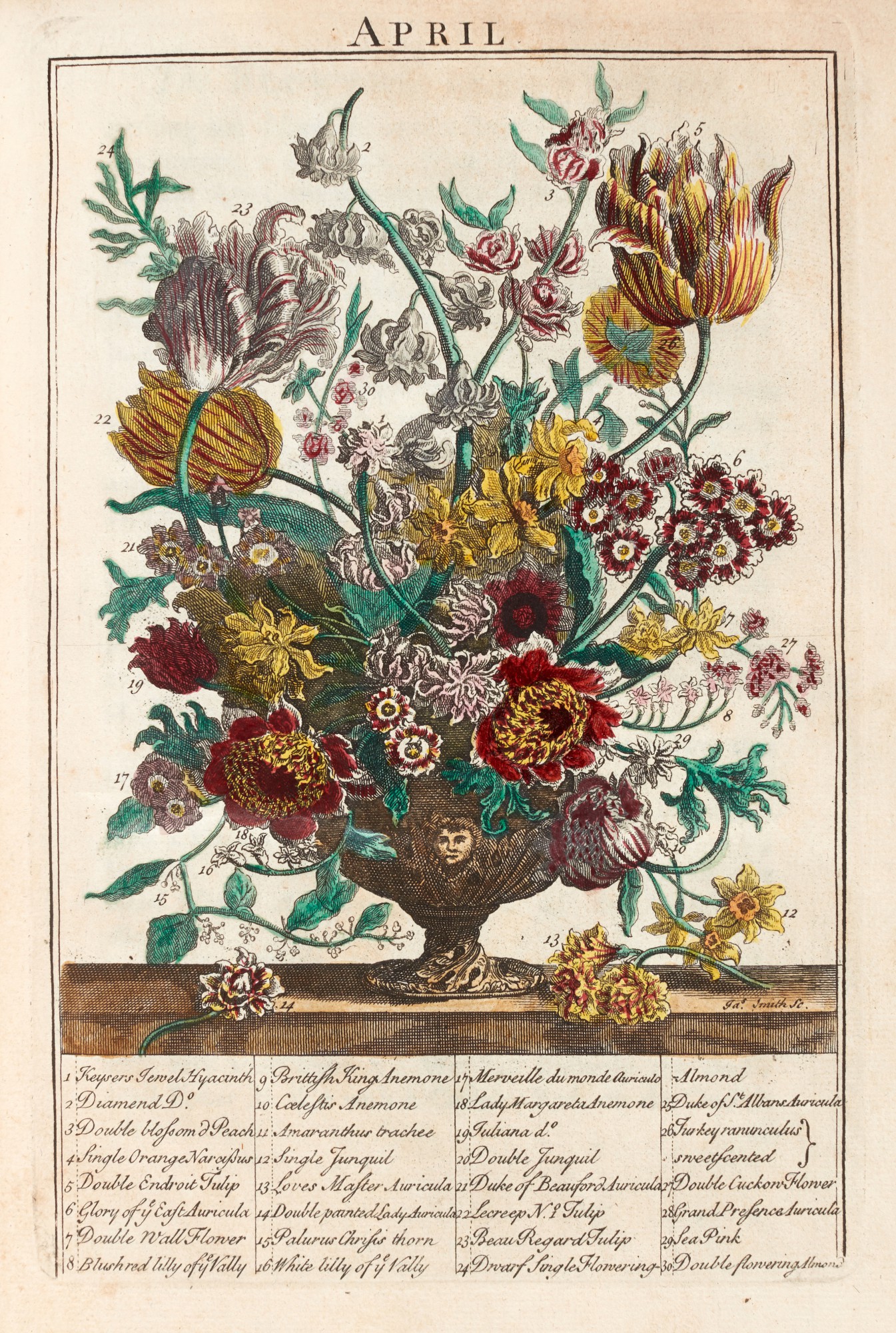 Robert Furber The flowergarden display'd, 1732 The Library of