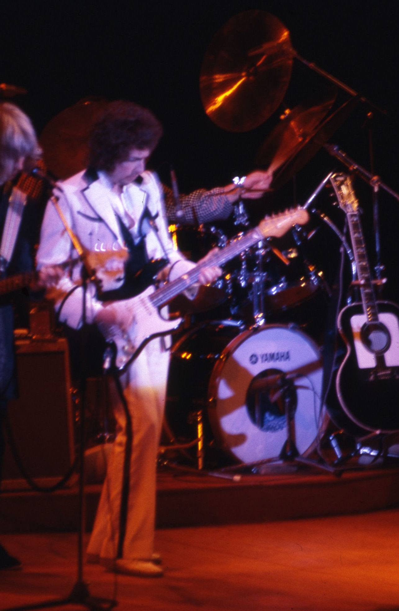 Vintage Bob Dylan Concert Transparencies Available For