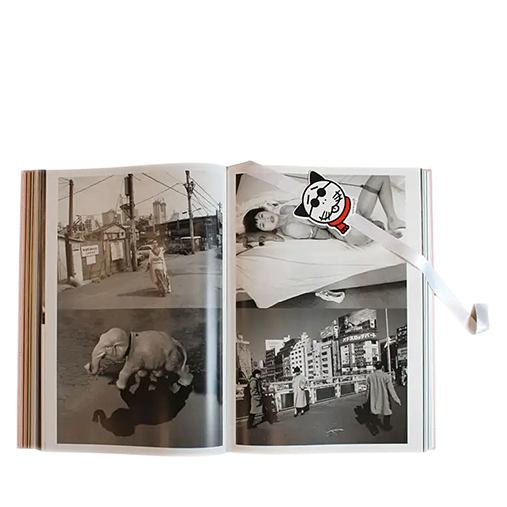Nobuyoshi Araki, TASCHEN Araki | Signed Baby Sumo Edition