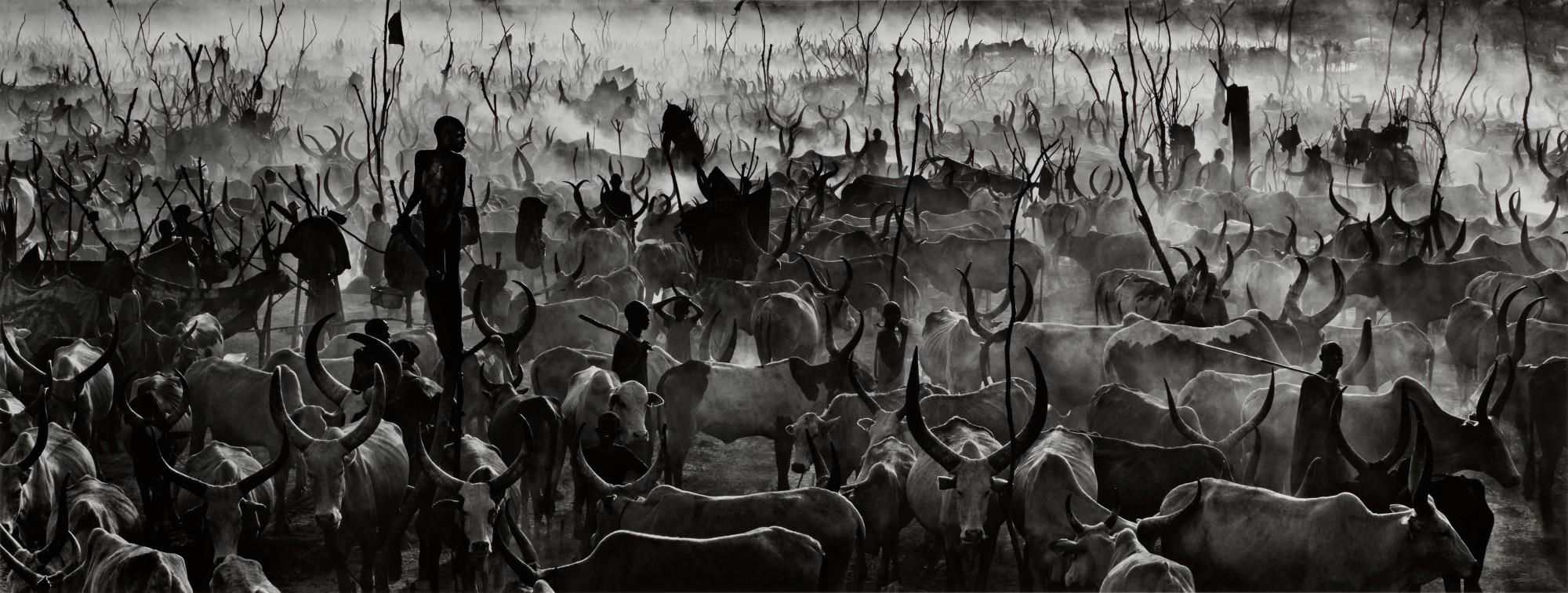 DAVID YARROW 'MANKIND II', YIROL, SOUTH SUDAN, 2014 Photographs