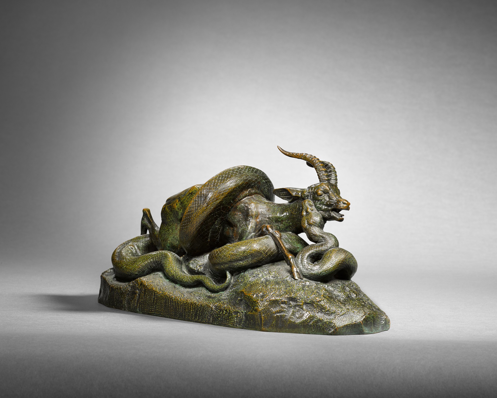 Python enlaçant une gazelle (Python Crushing a Gazelle) | Sladmore ...