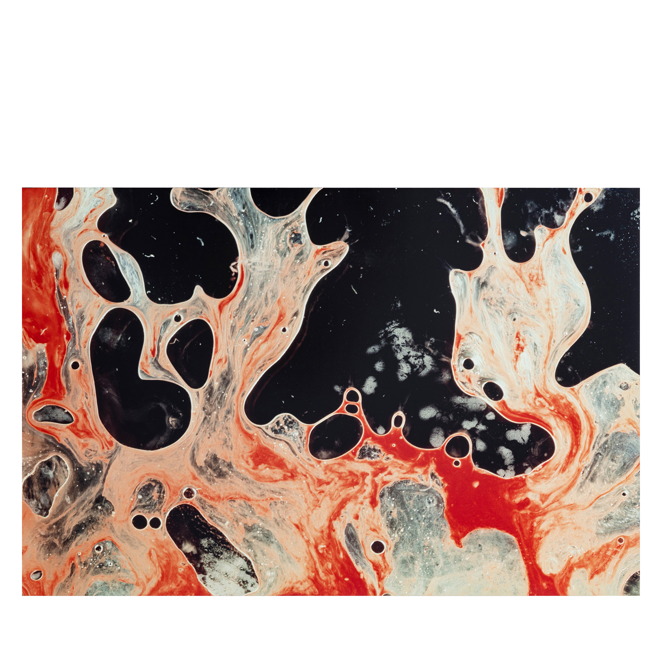 Andres Serrano カタログ　Gallery cellar 1990 Andres Serrano Catalog Gallery Cellar 1990 Exhibition Collection