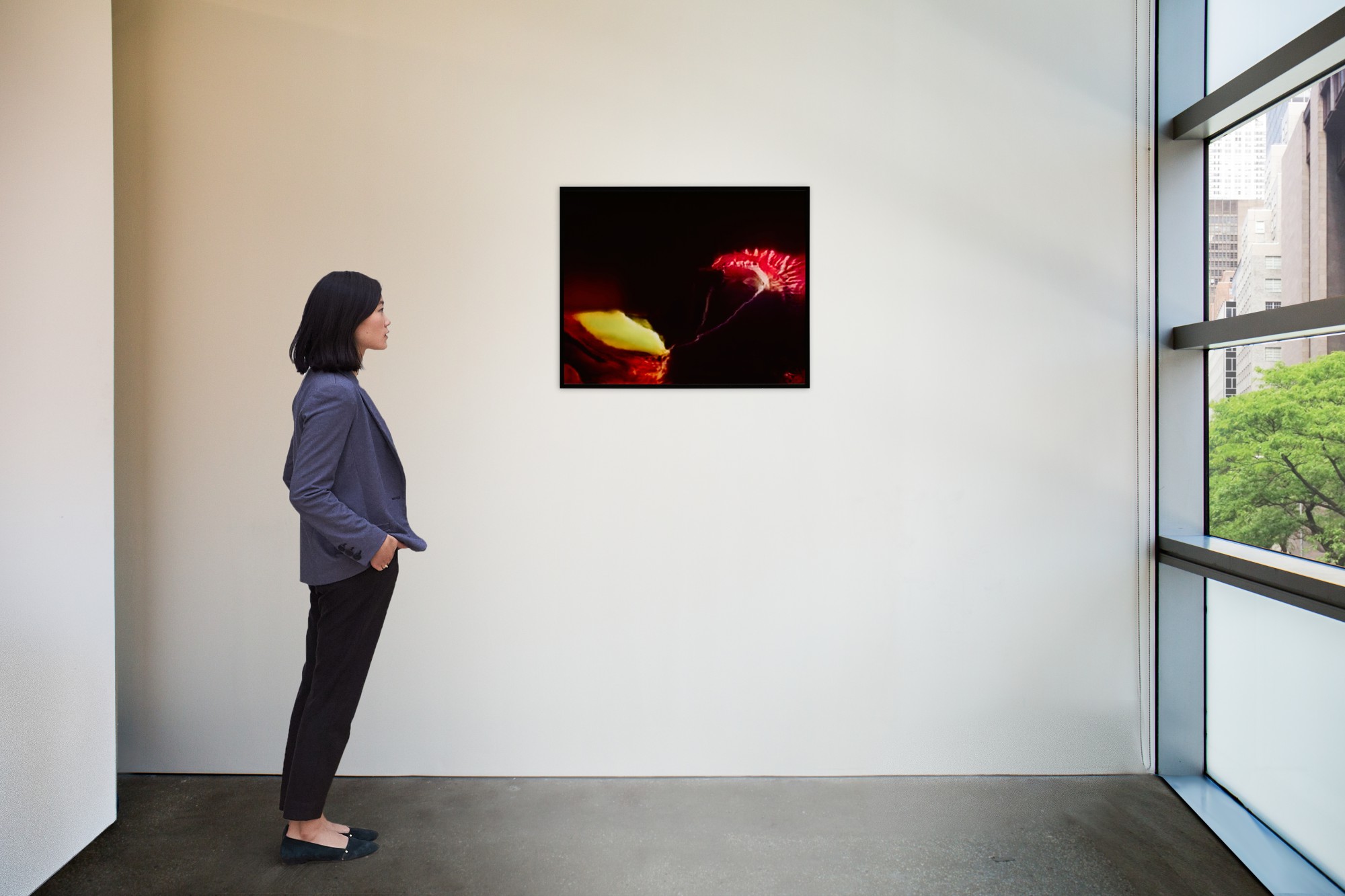 Venus Flytrap (Corpus American Predators) Adversarially Evolved