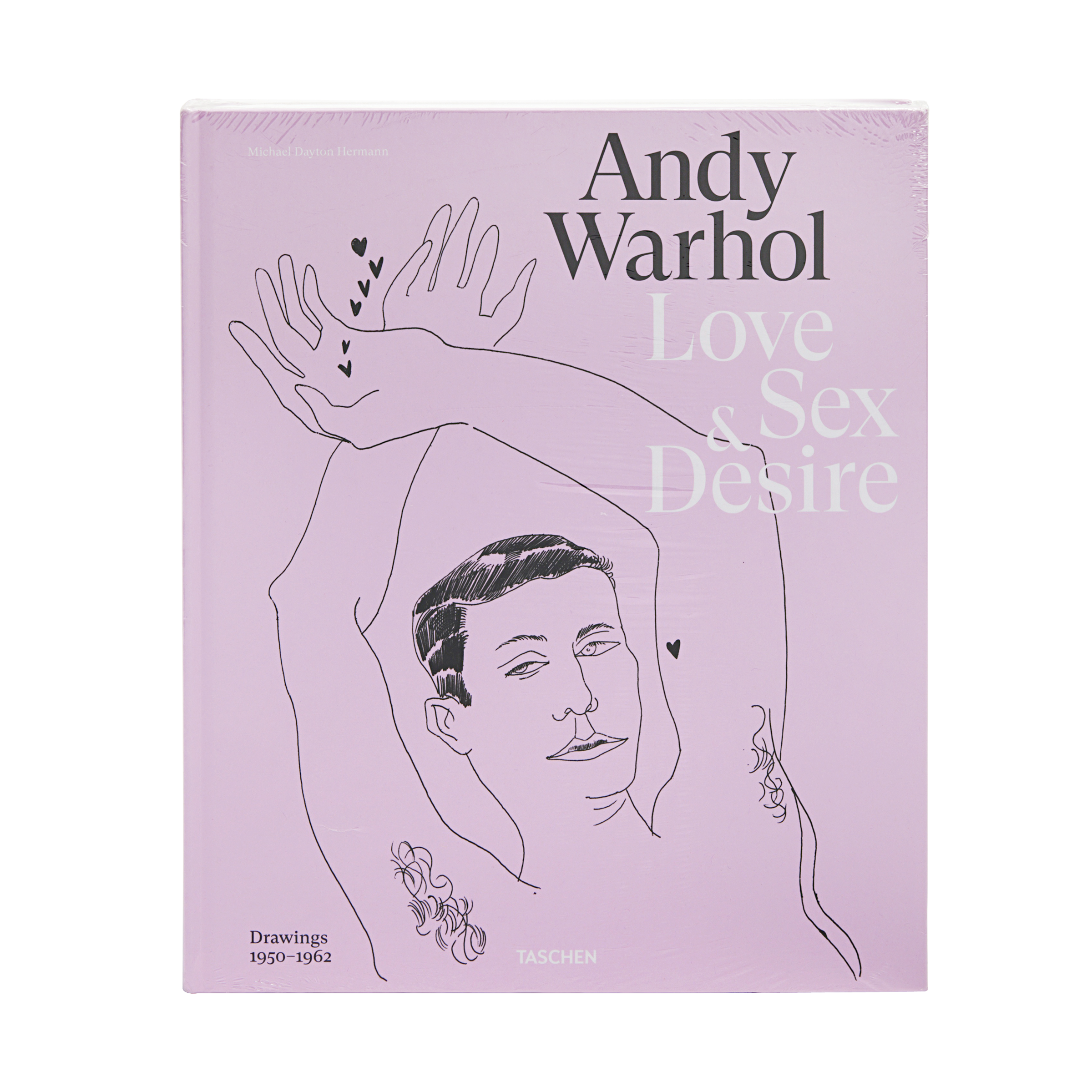 Michael Dayton Hermann Andy Warhol: Love, Sex & Desire Drawings