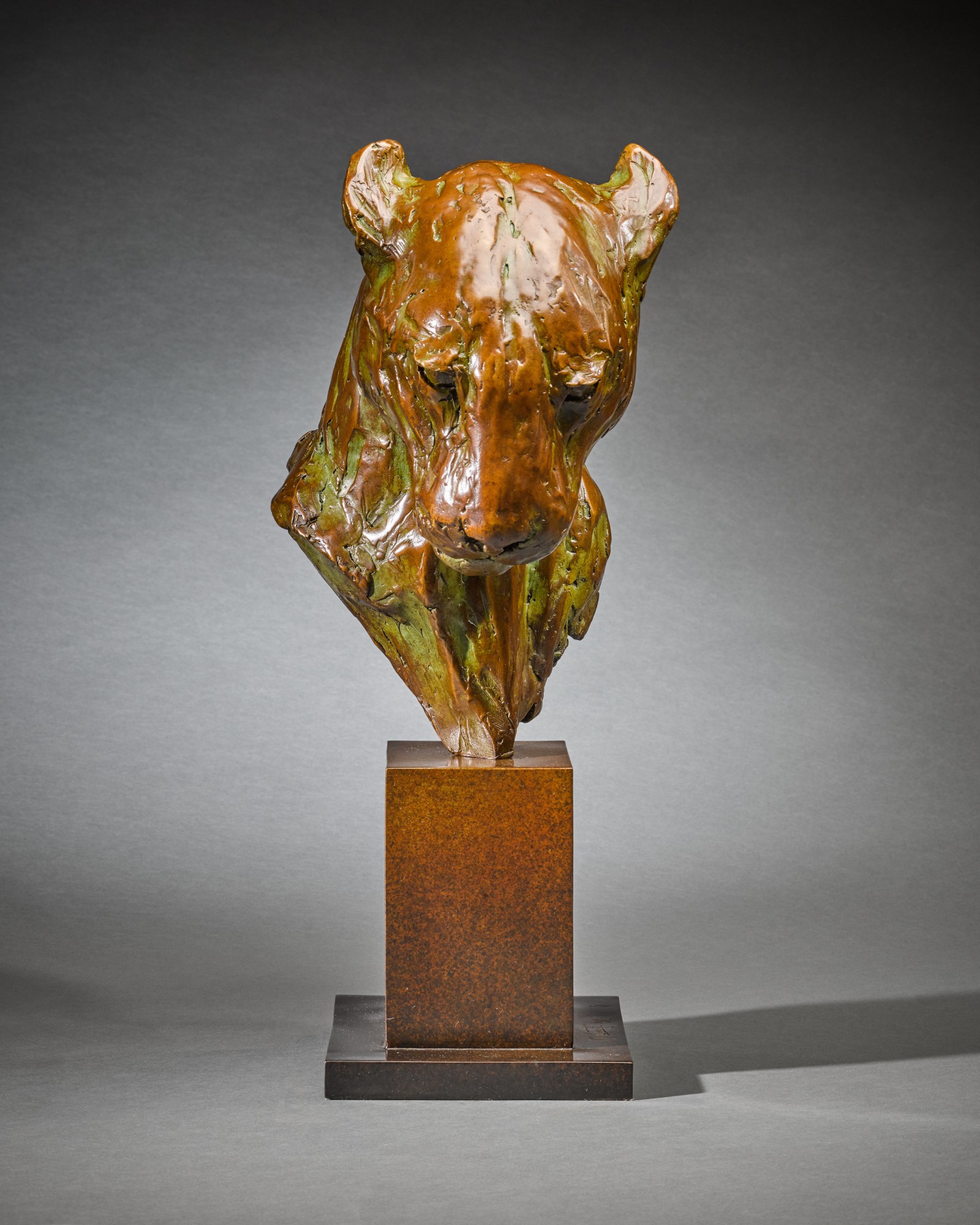 Leopard Bust | Sladmore: Life in Bronze | 2022 | Sotheby's