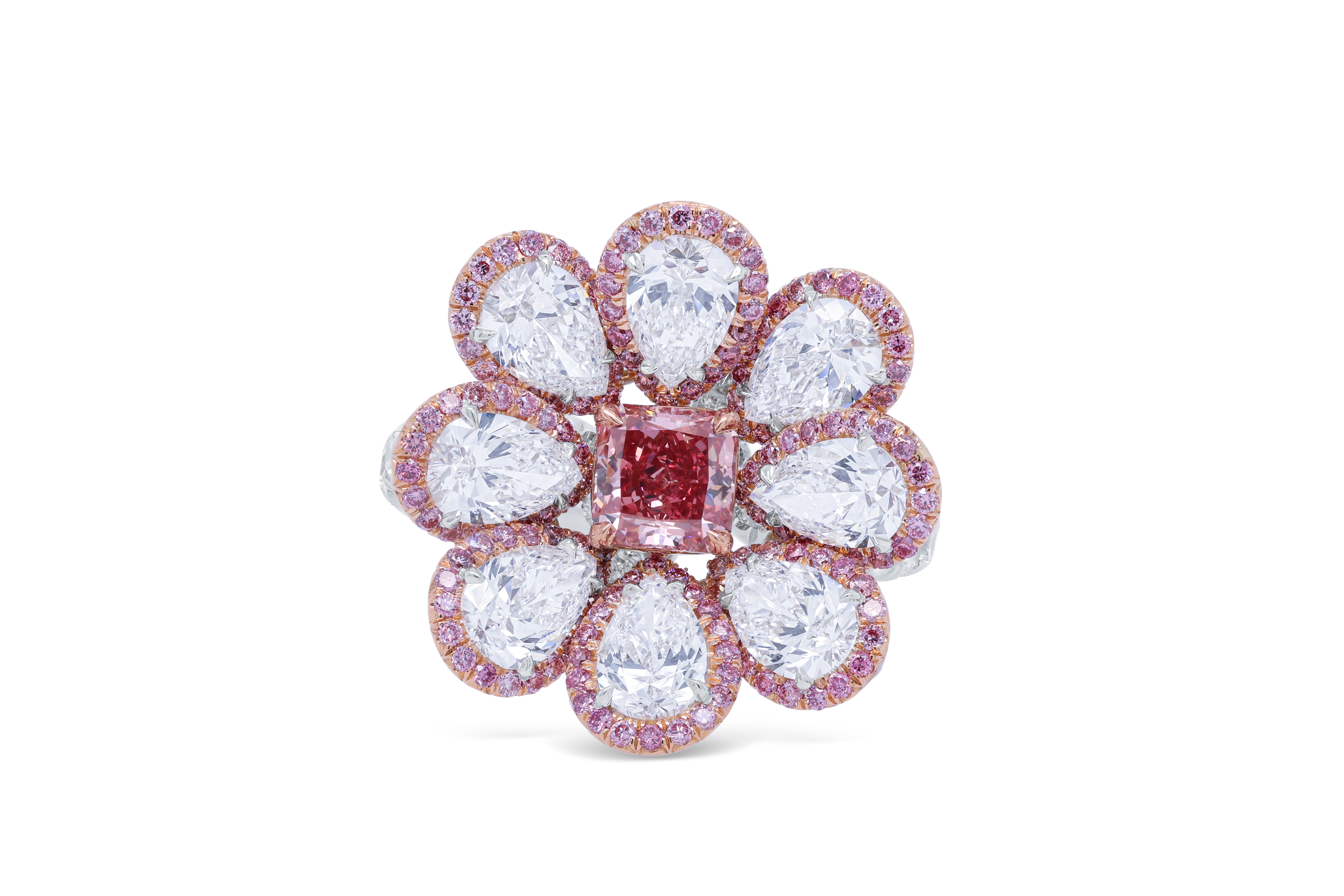 【値下げ】PINK LADY platinum box 2025年最新】ピンクレディ PINK LADY PLATINUM BOX CDの人気