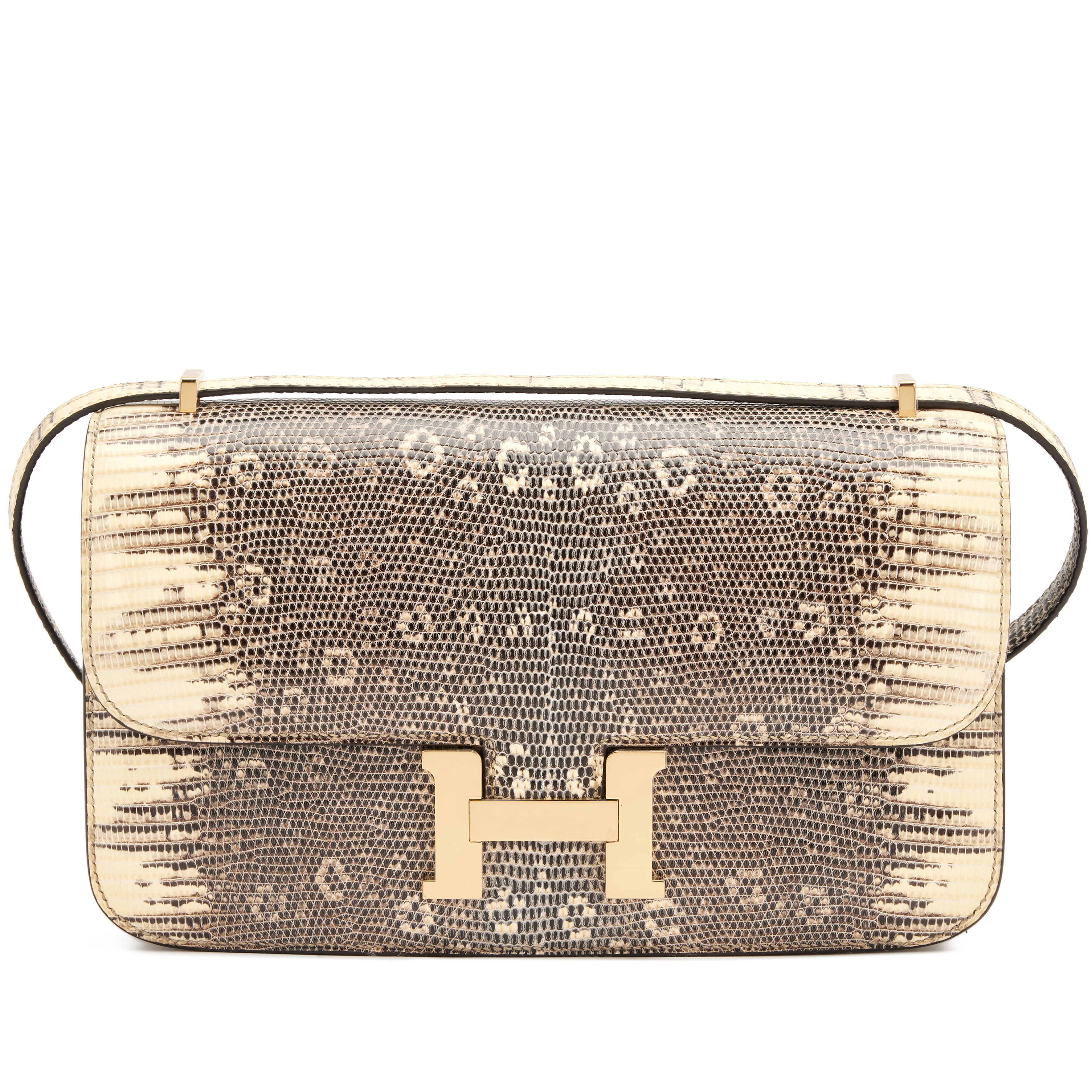 Hermès Ombre Salvator Lizard Constance Elan Gold Hardware, 2020