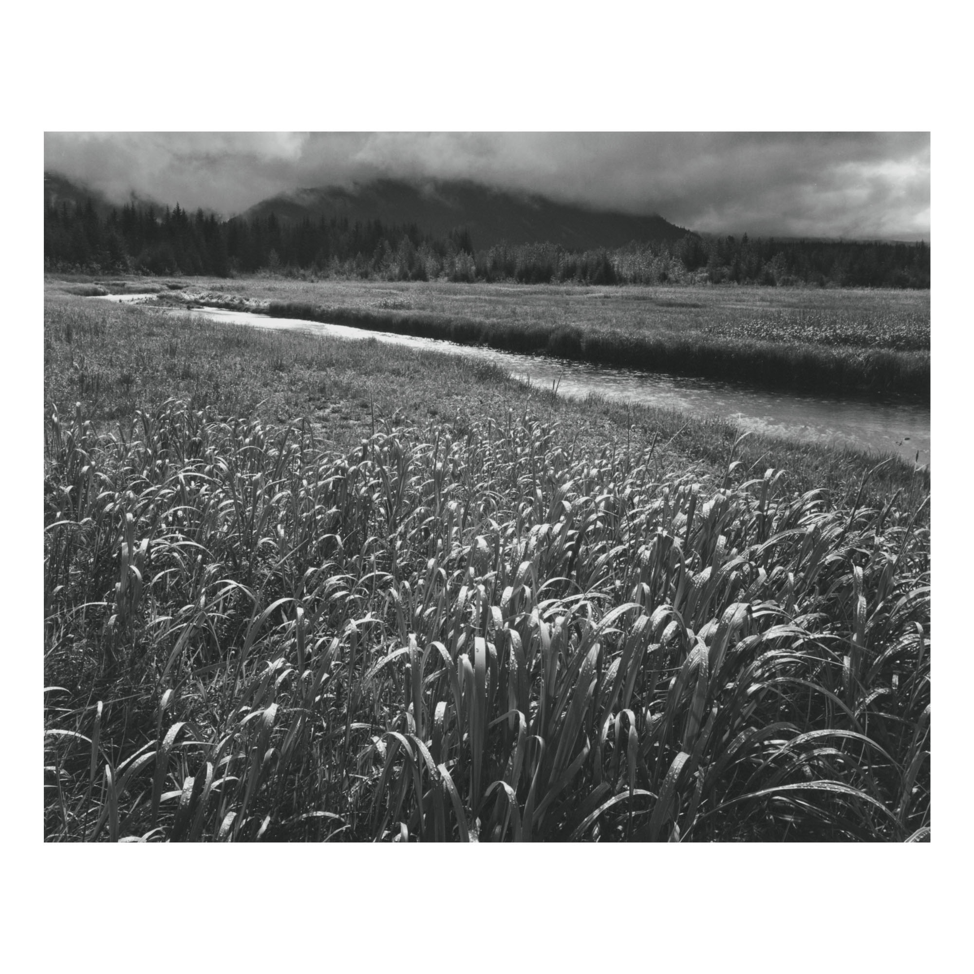 ANSEL ADAMS BEAR TRACK COVE, ALASKA Photographs 2020 Sotheby's