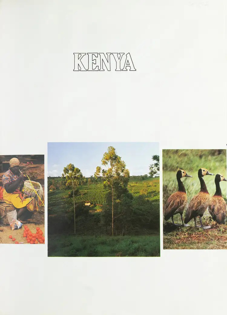 Mohamed Amin, Duncan Willetts, Brian Tetley Vintage Journey