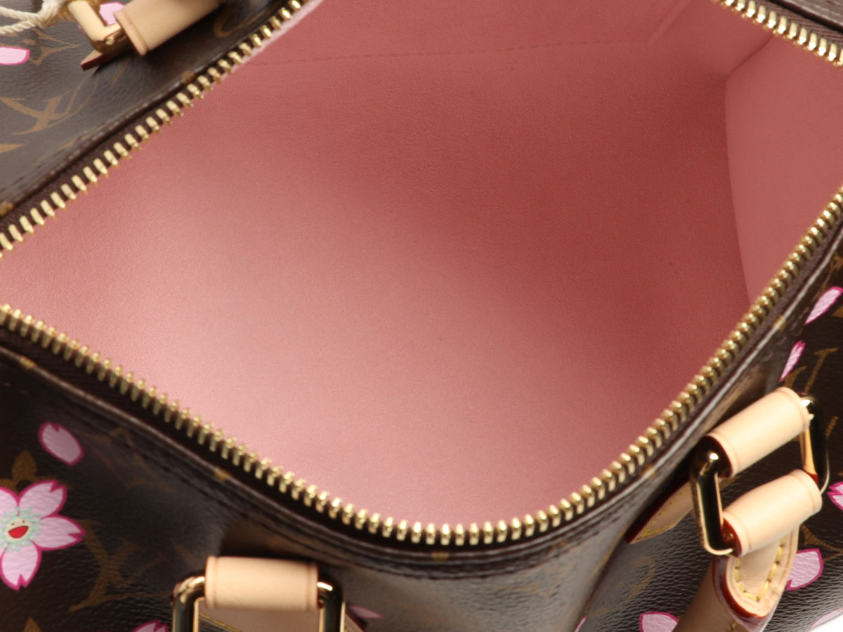 Louis Vuitton Takashi Murakami Brown Monogram Coated Canvas