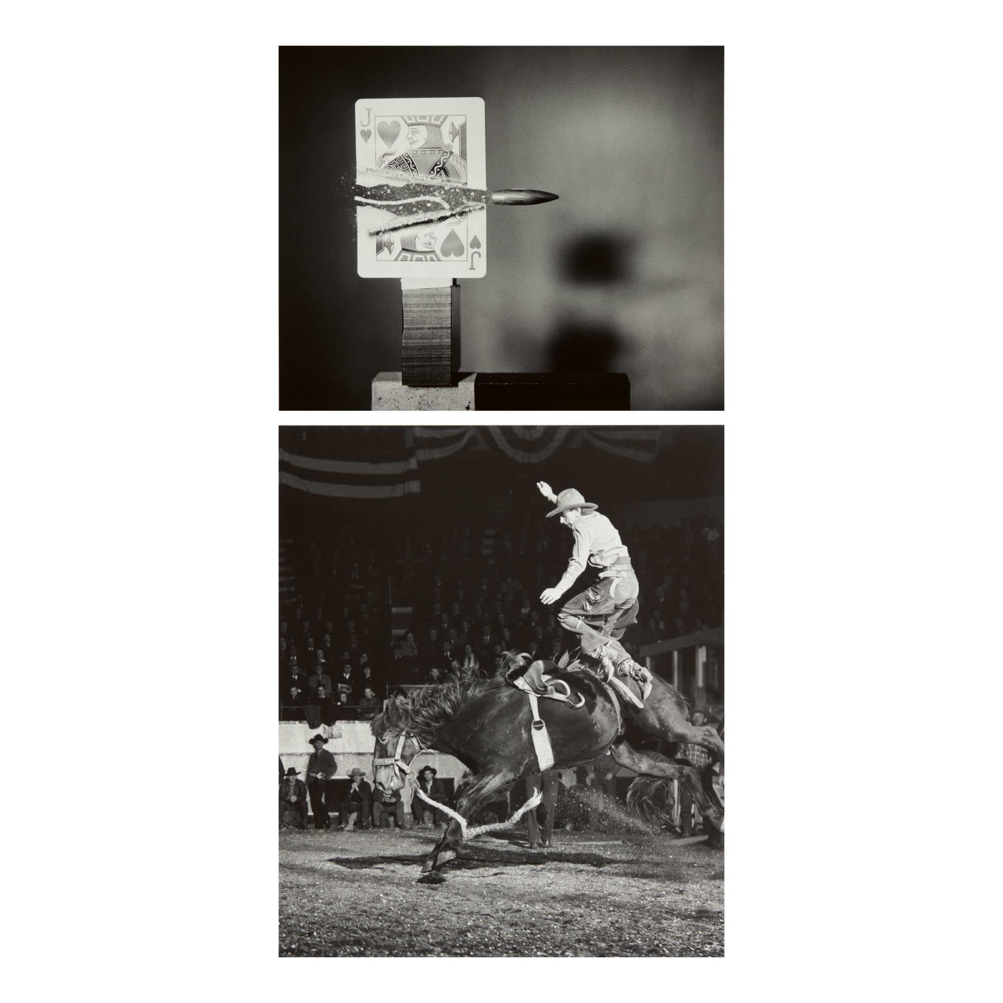 HAROLD EDGERTON SELECTED IMAGES Photographs 2020 Sotheby's