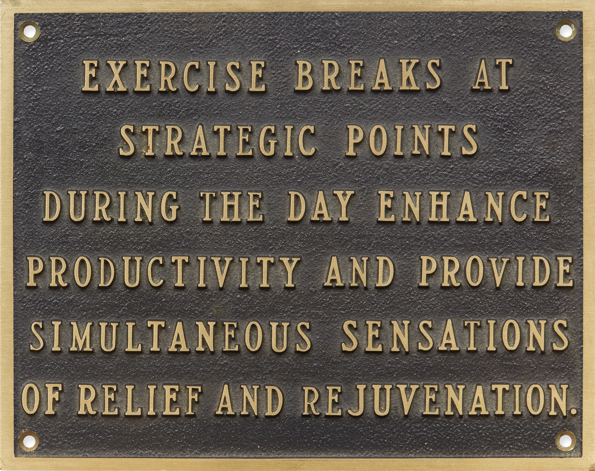 JENNY HOLZER THE LIVING SERIES EXERCISE BREAKS AT STRATEGIC POINTS