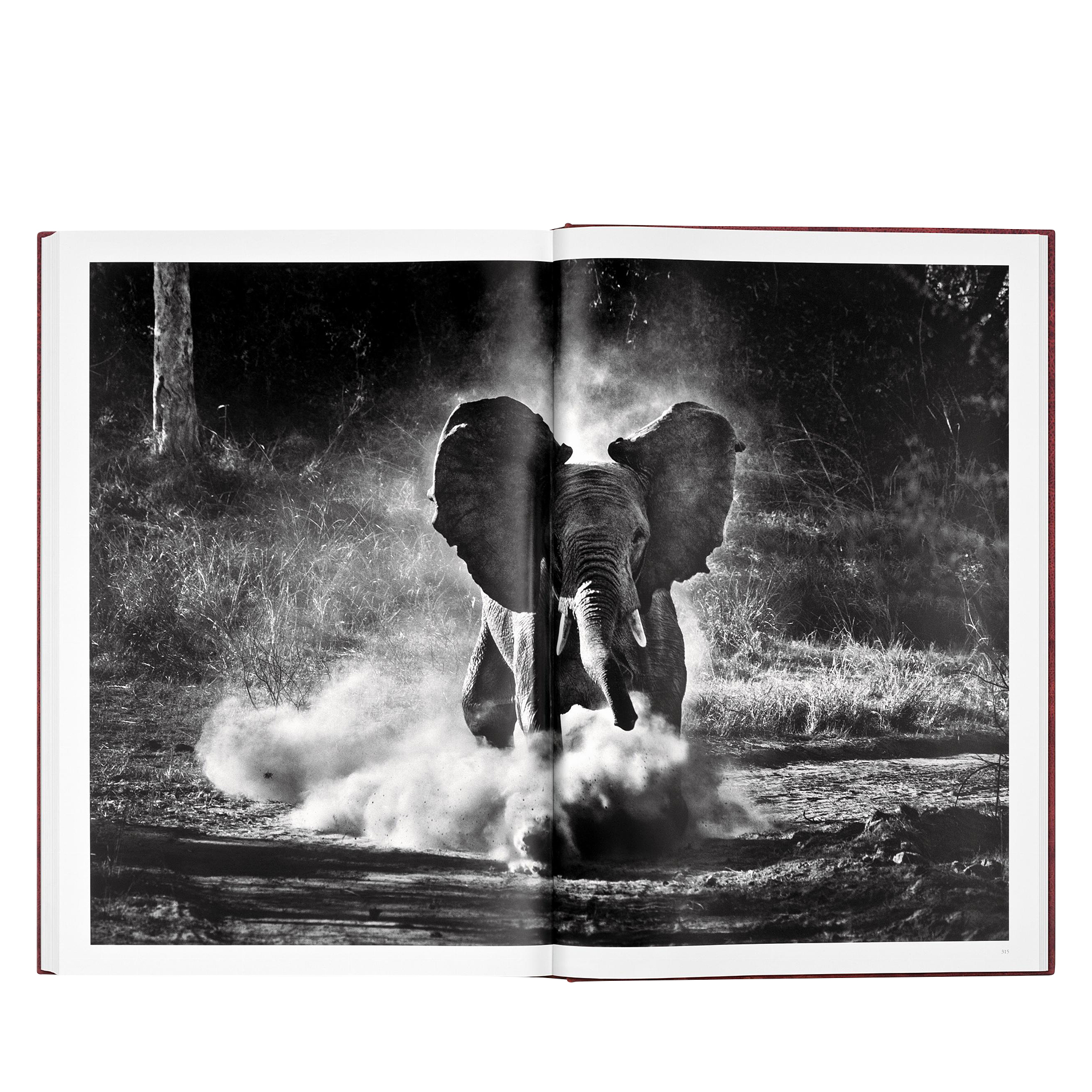 Sebastião Salgado, TASCHEN Genesis | Art Edition No. 201–300, With