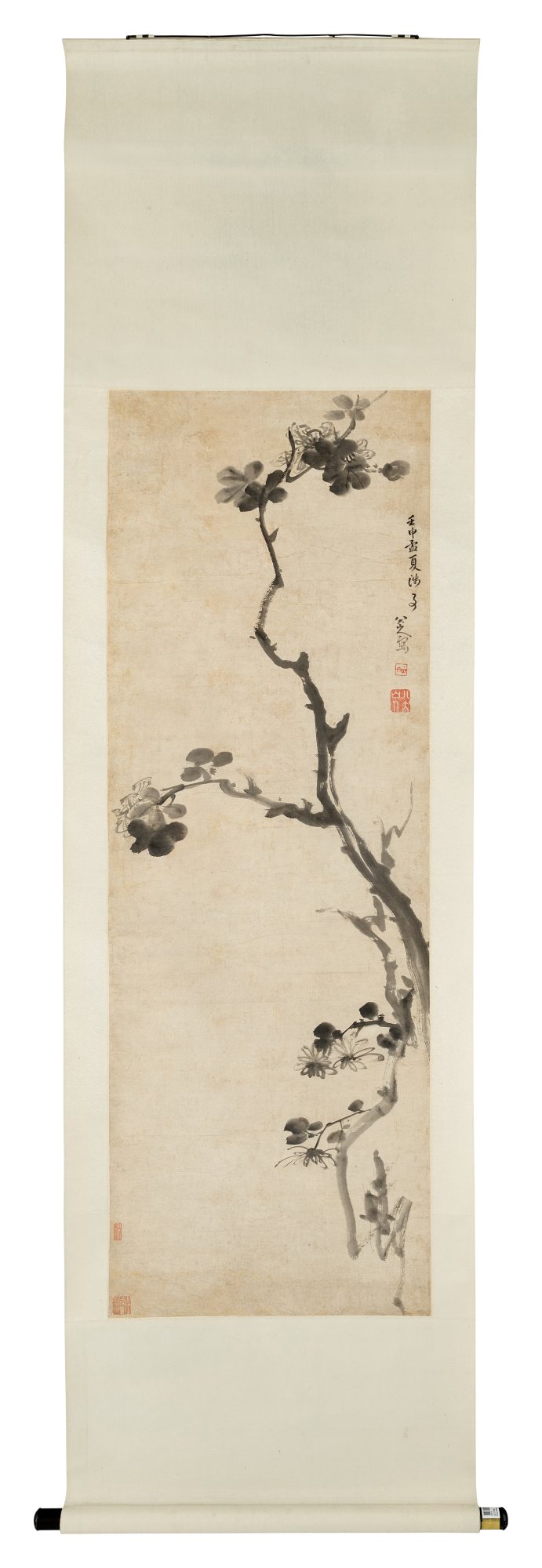 Zhu Da (Bada Shanren) 1626 1705朱耷(八大山人) Hibiscus 芙蓉 Fine