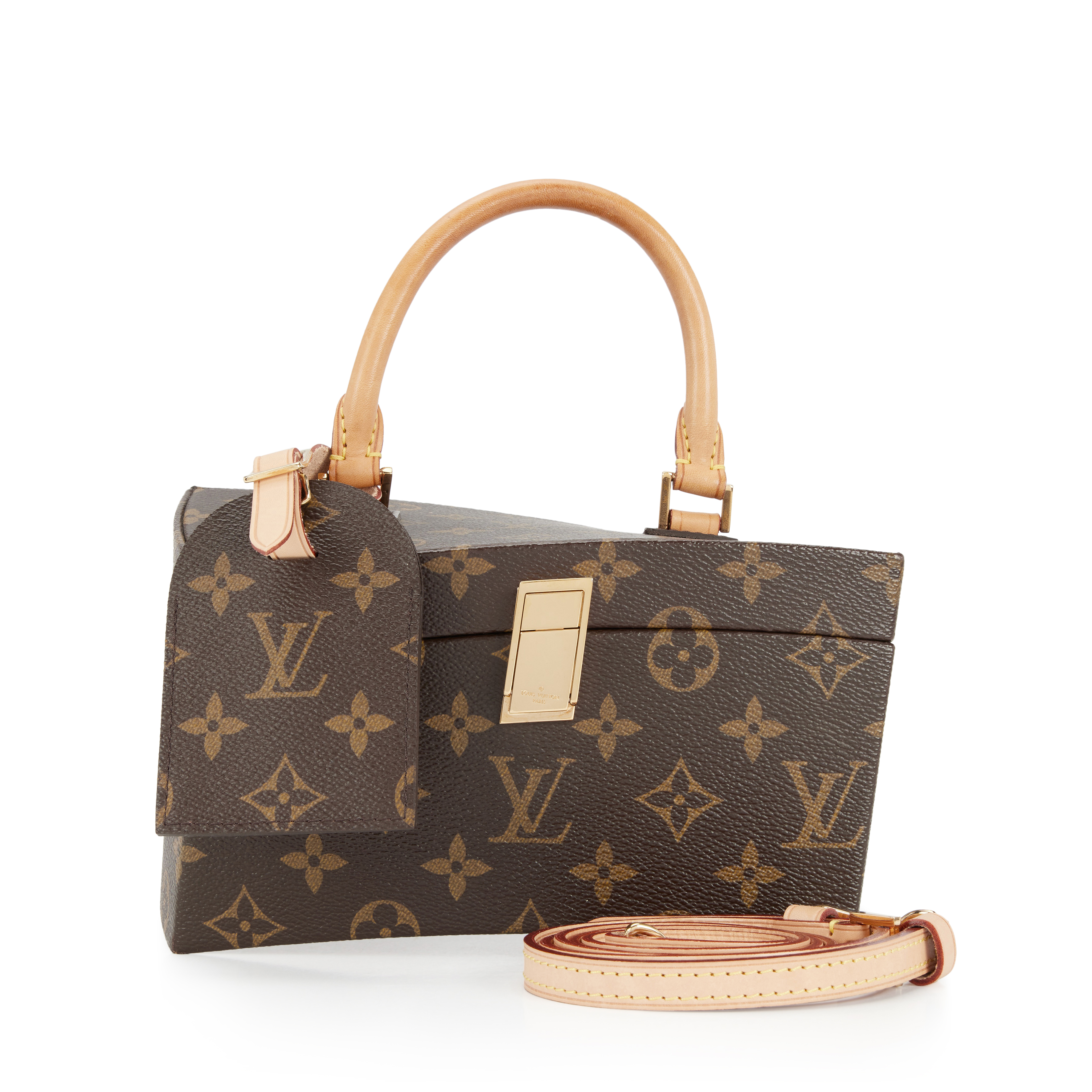 Louis Vuitton Brown Monogram Coated Canvas Iconoclasts Frank