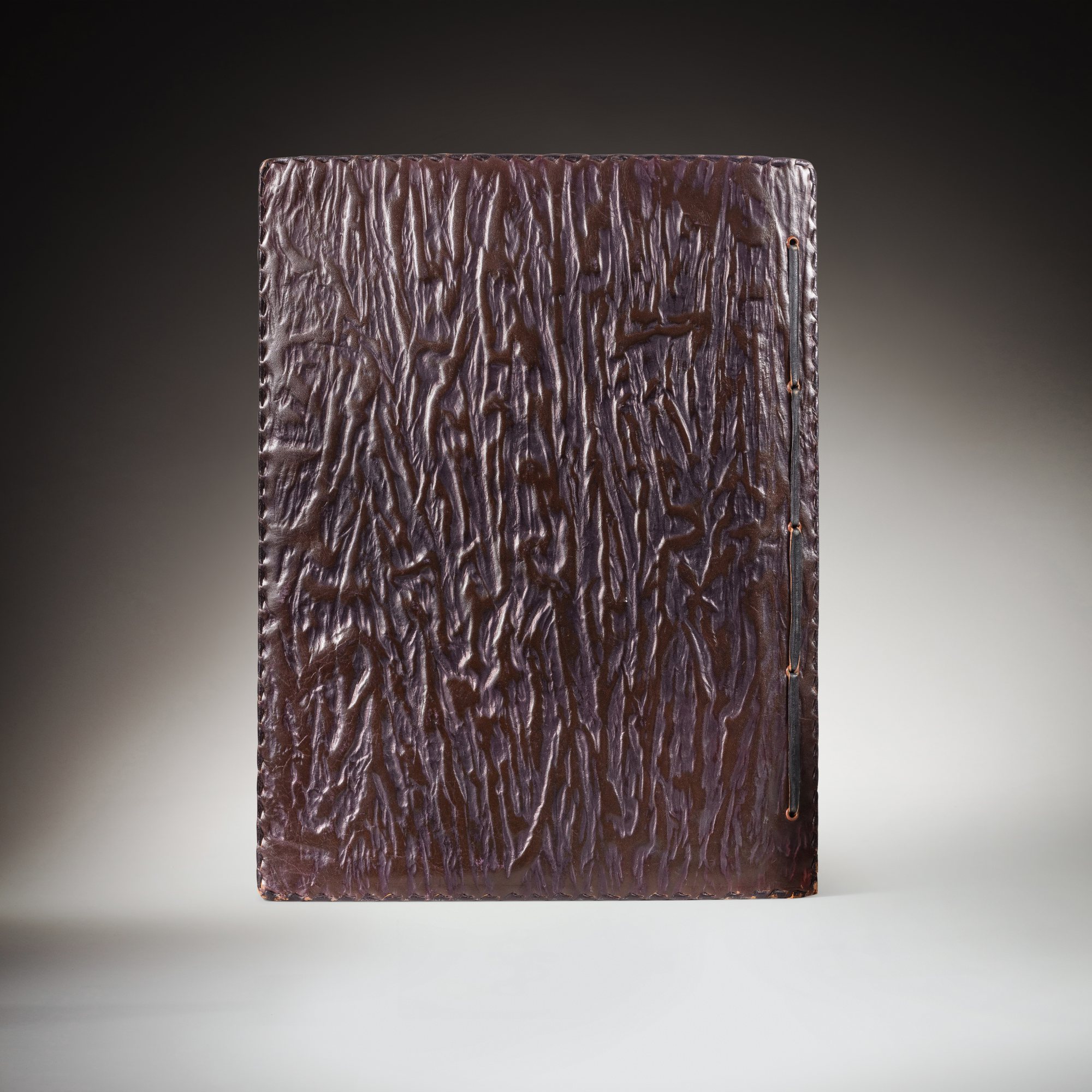 Zagourski Casimir Ostoja (18801941), L'Afrique qui disparait