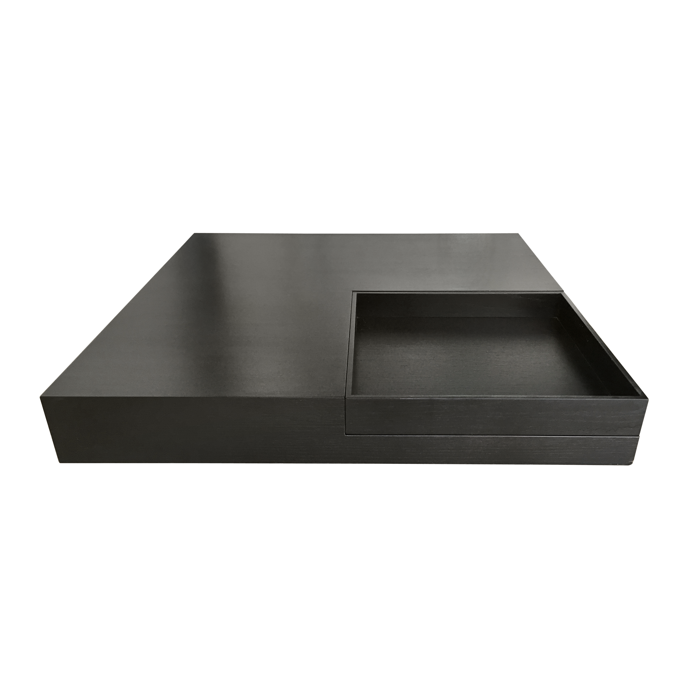 Fendi Casa LowProfile Coffee Table With Tray Available For Immediate