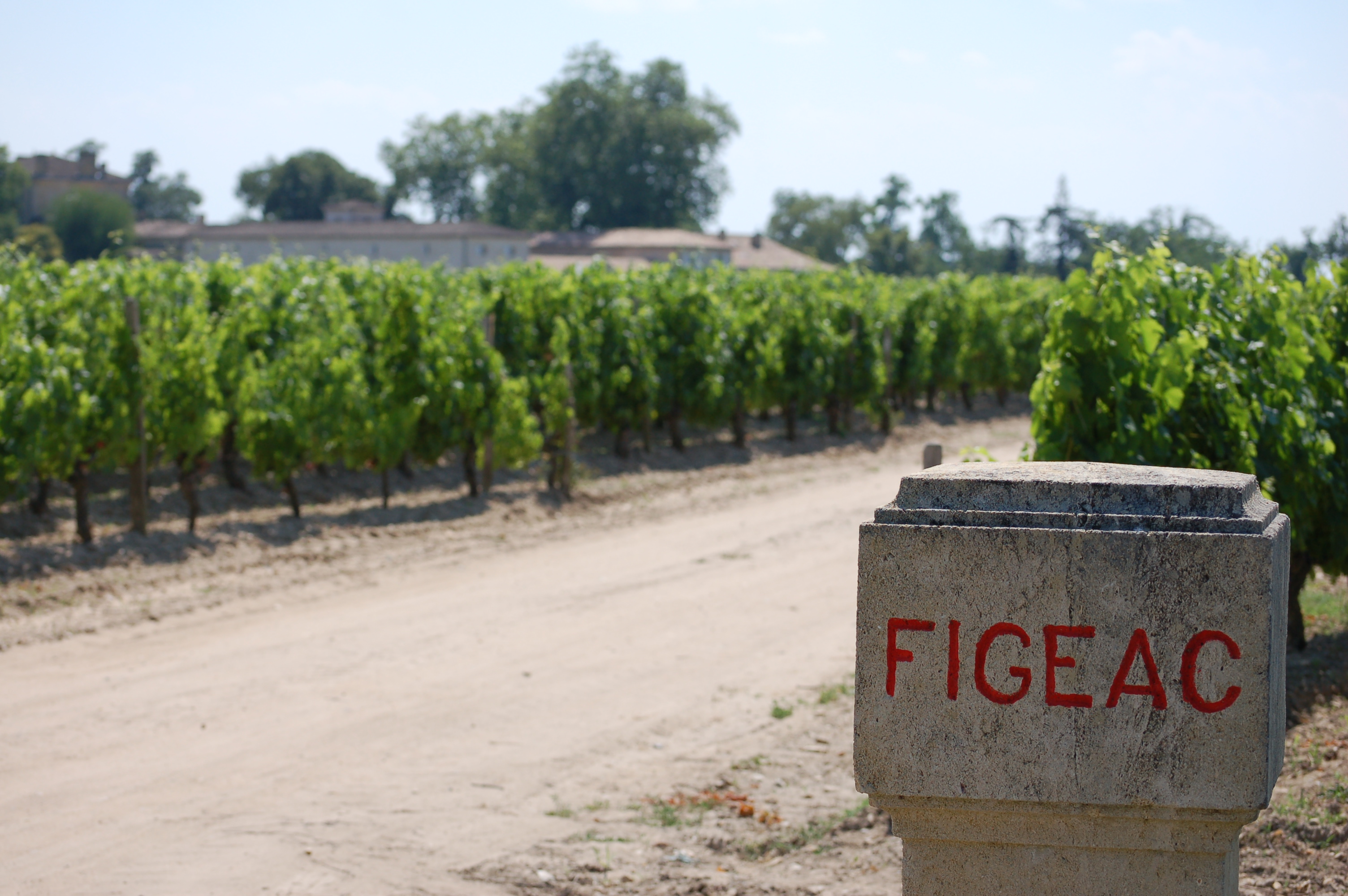 Château Figeac 2016 (12 BT) A Connoisseur’s Classic Cellar Finest