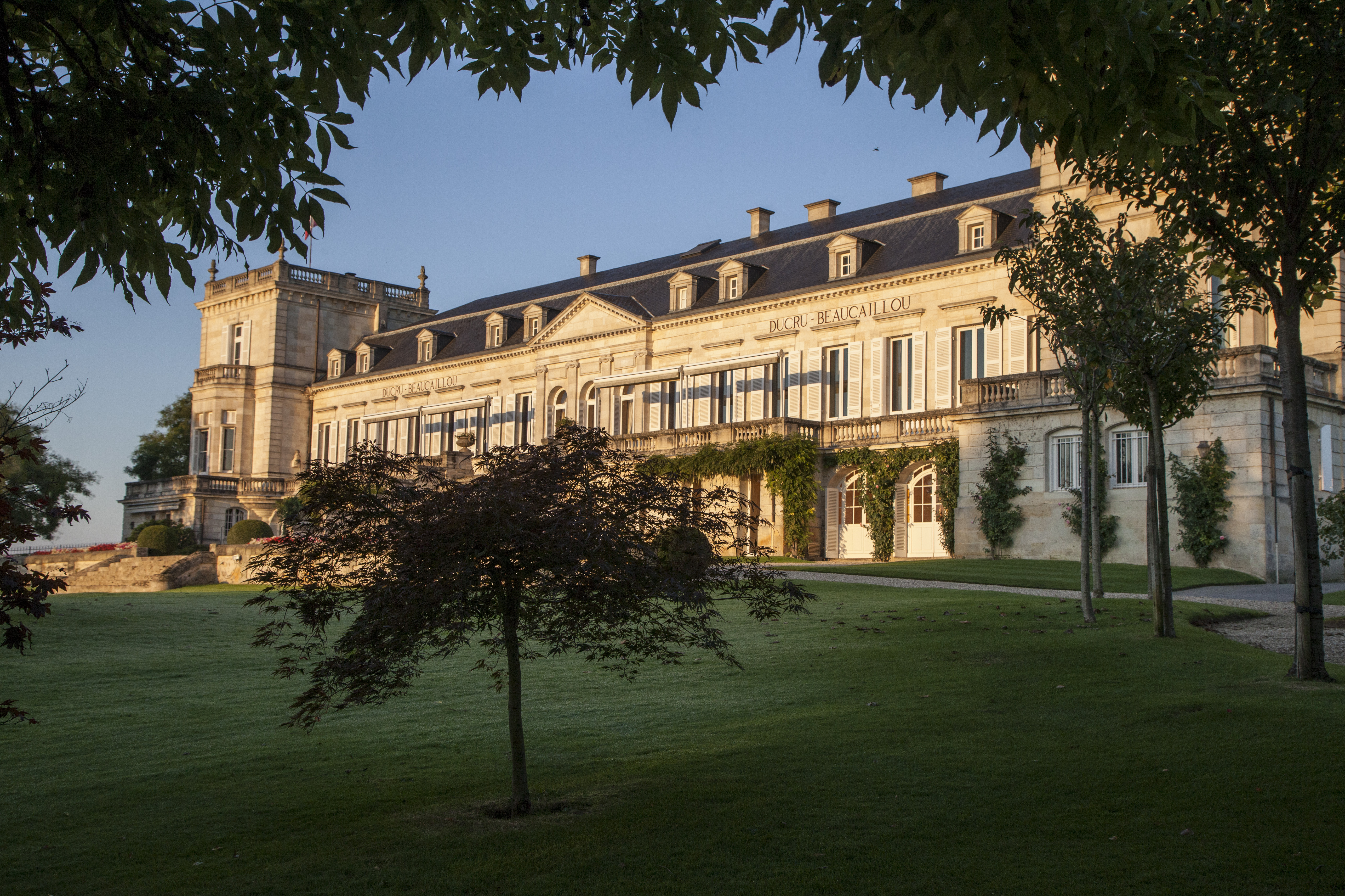 Château Ducru Beaucaillou 1989 (6 MAG) | Vine | Two Epic Collections ...