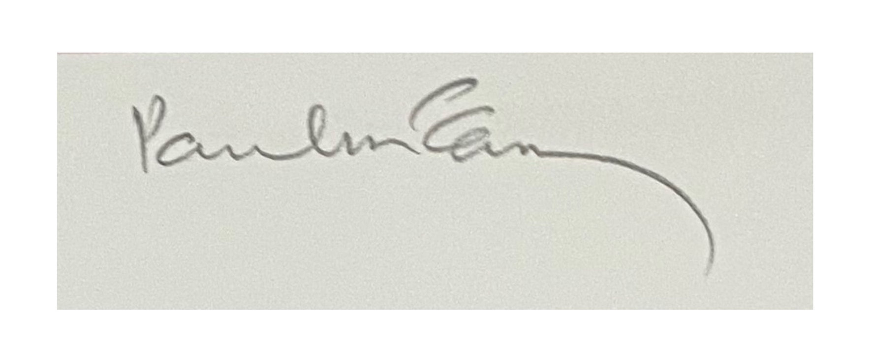 Paul McCartney Big Mountain Face Lithograph Available For