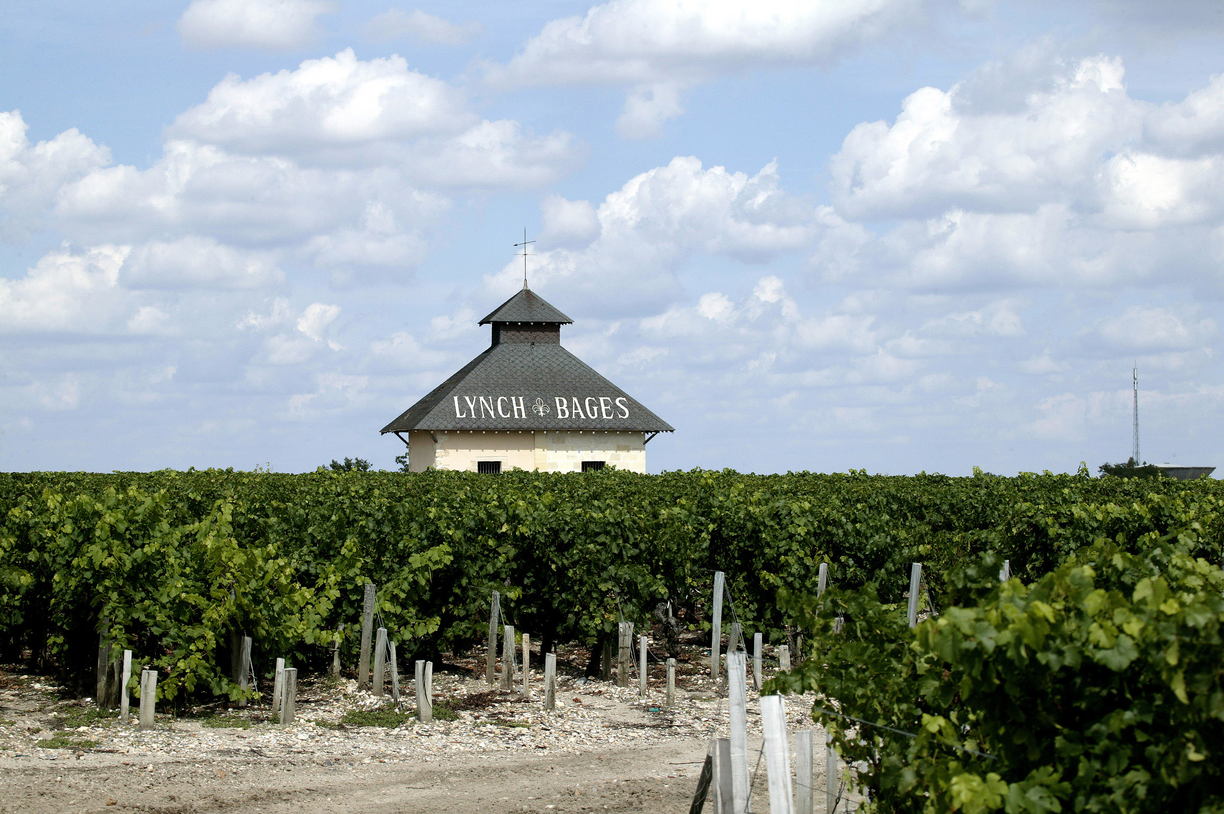 Château Lynch Bages 1999 (6 MAG) The Clifford Harris Collection A
