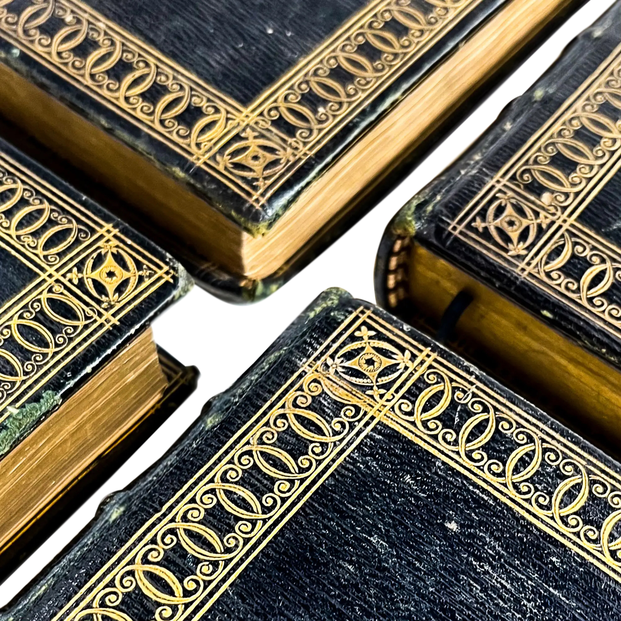 アンティーク antique book ダンテ 歌曲集 古書 Dante アンティーク antique book ダンテ 歌曲集 古書 Dante